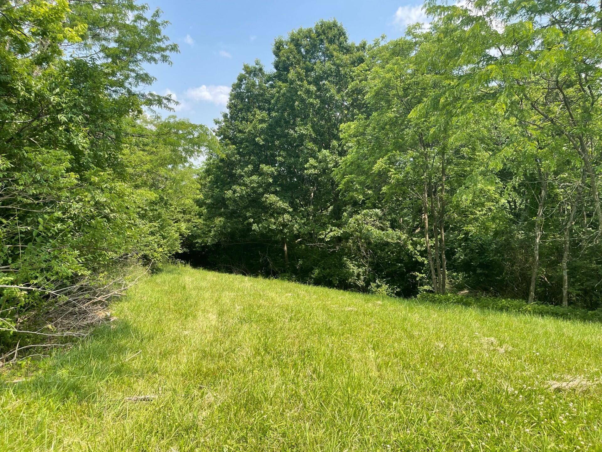 Foster, KY 41043,0 Lenoxburg Foster Road