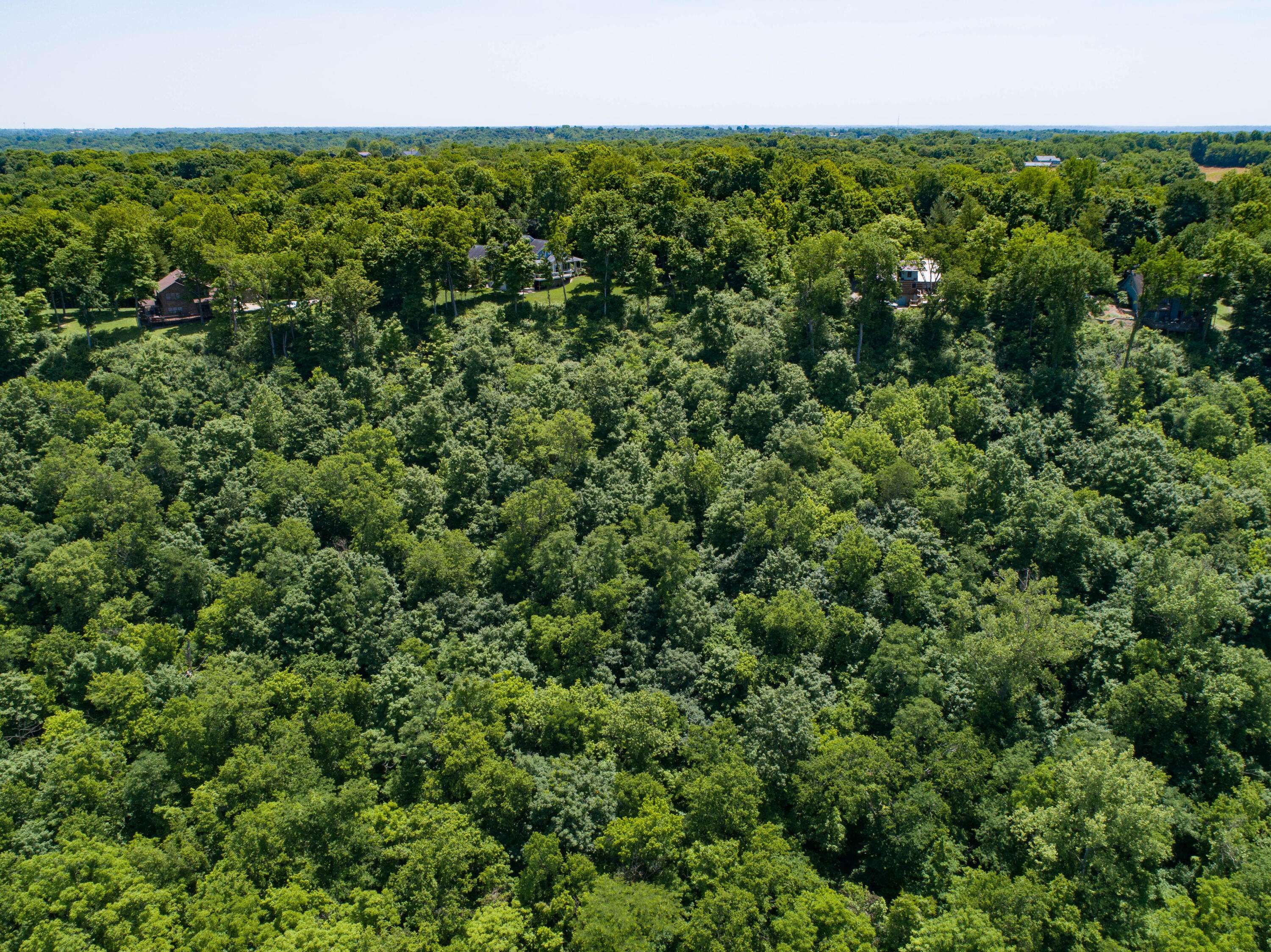 Burlington, KY 41005,29 Cottontail Trail