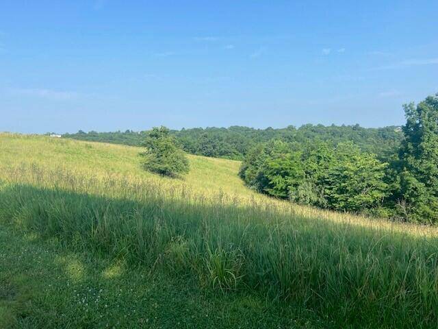 Falmouth, KY 41040,6183 Highway 22