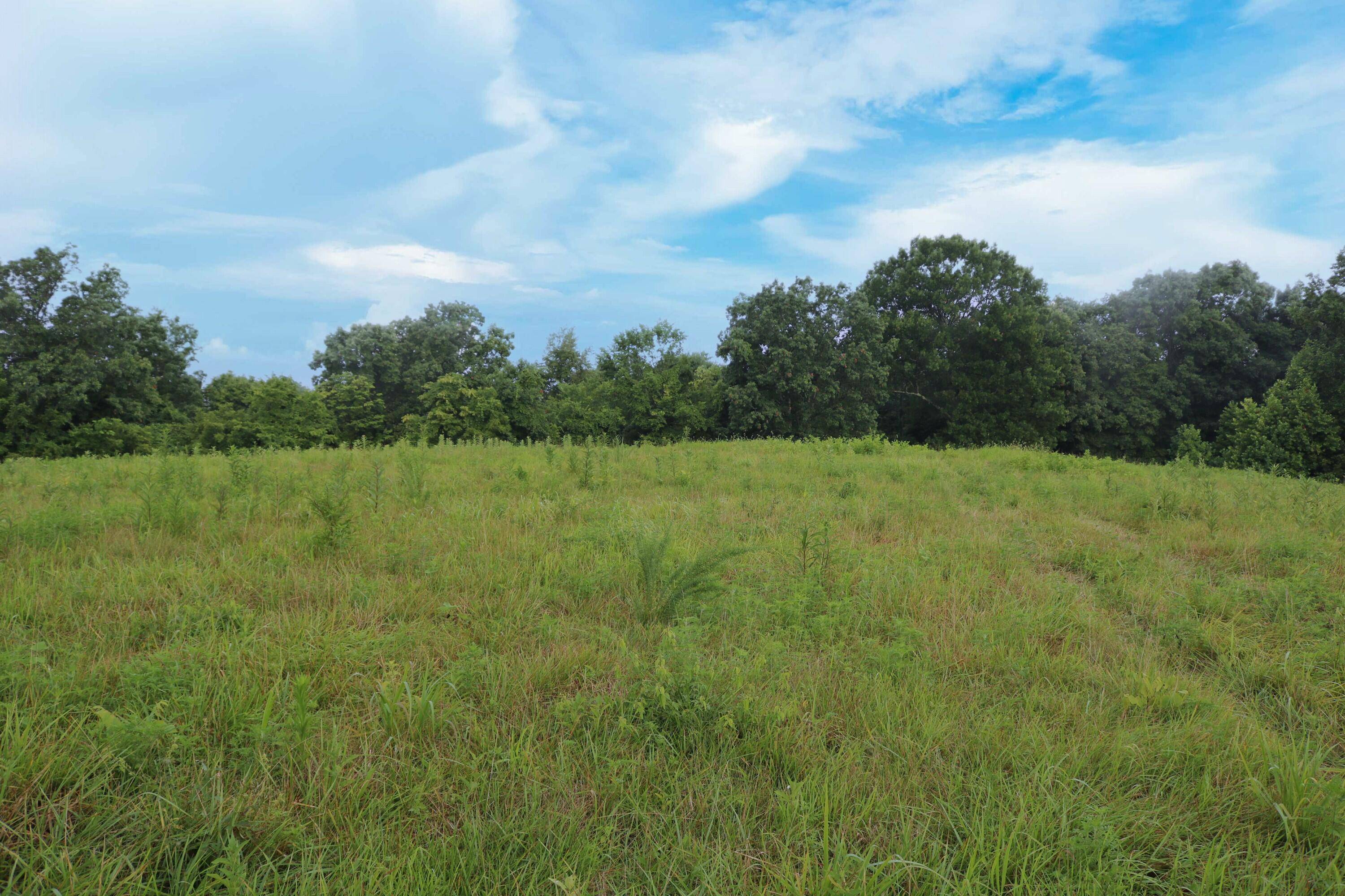 Owenton, KY 40359,520 Pennington Lane Lane
