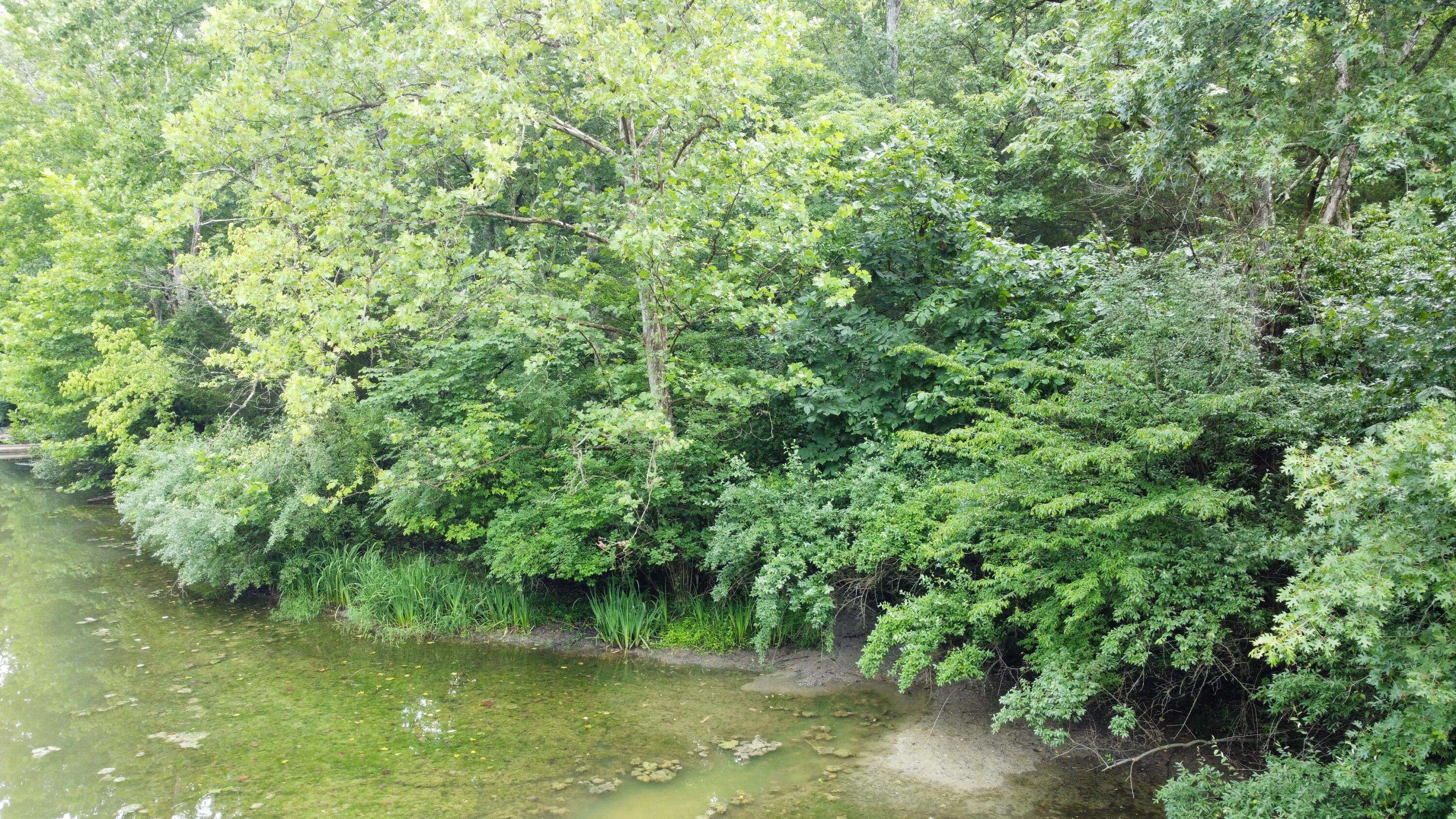 Owenton, KY 40359,445 Elk Lake Resort Road #396-397