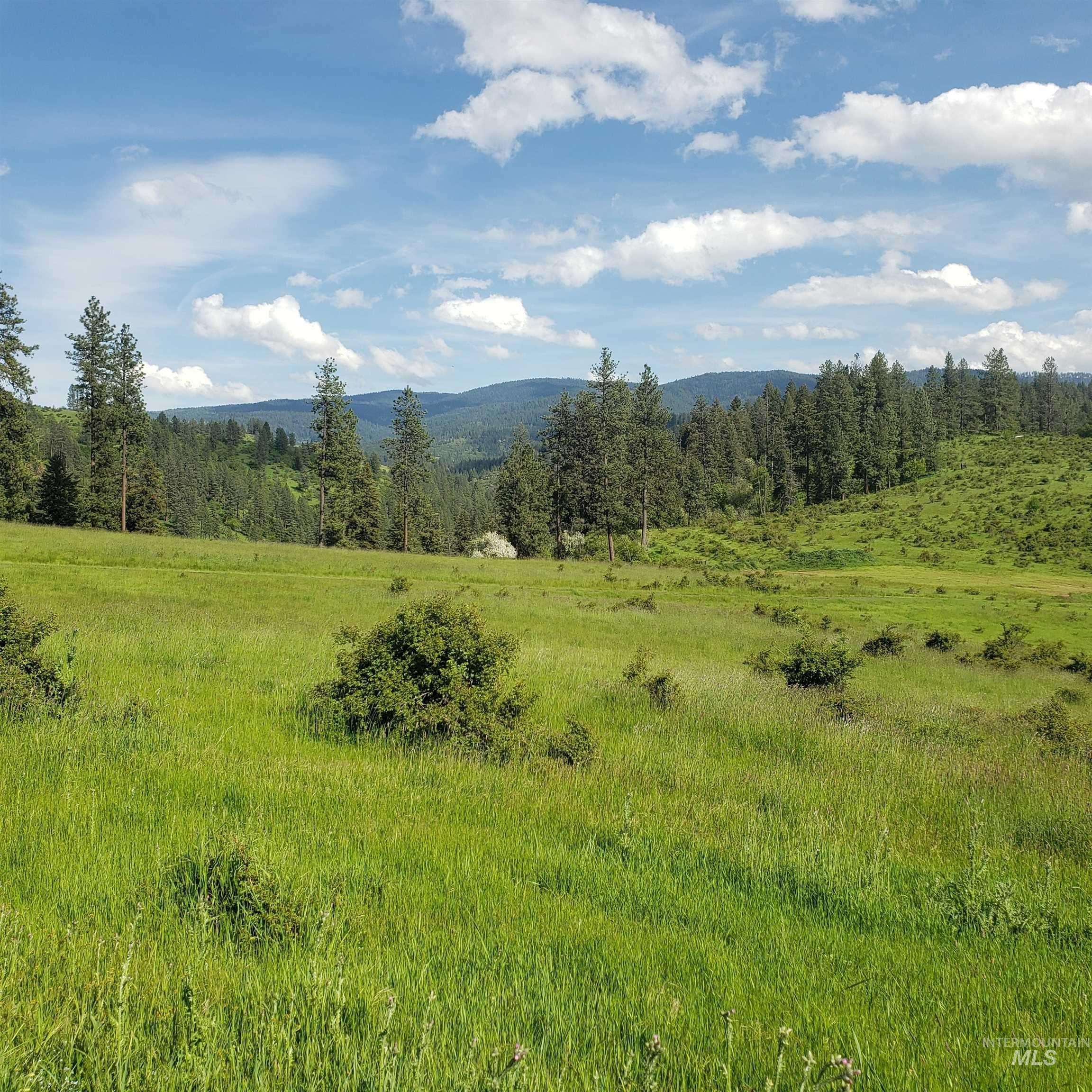 Harpster, ID 83552,234 Clearwater Drive