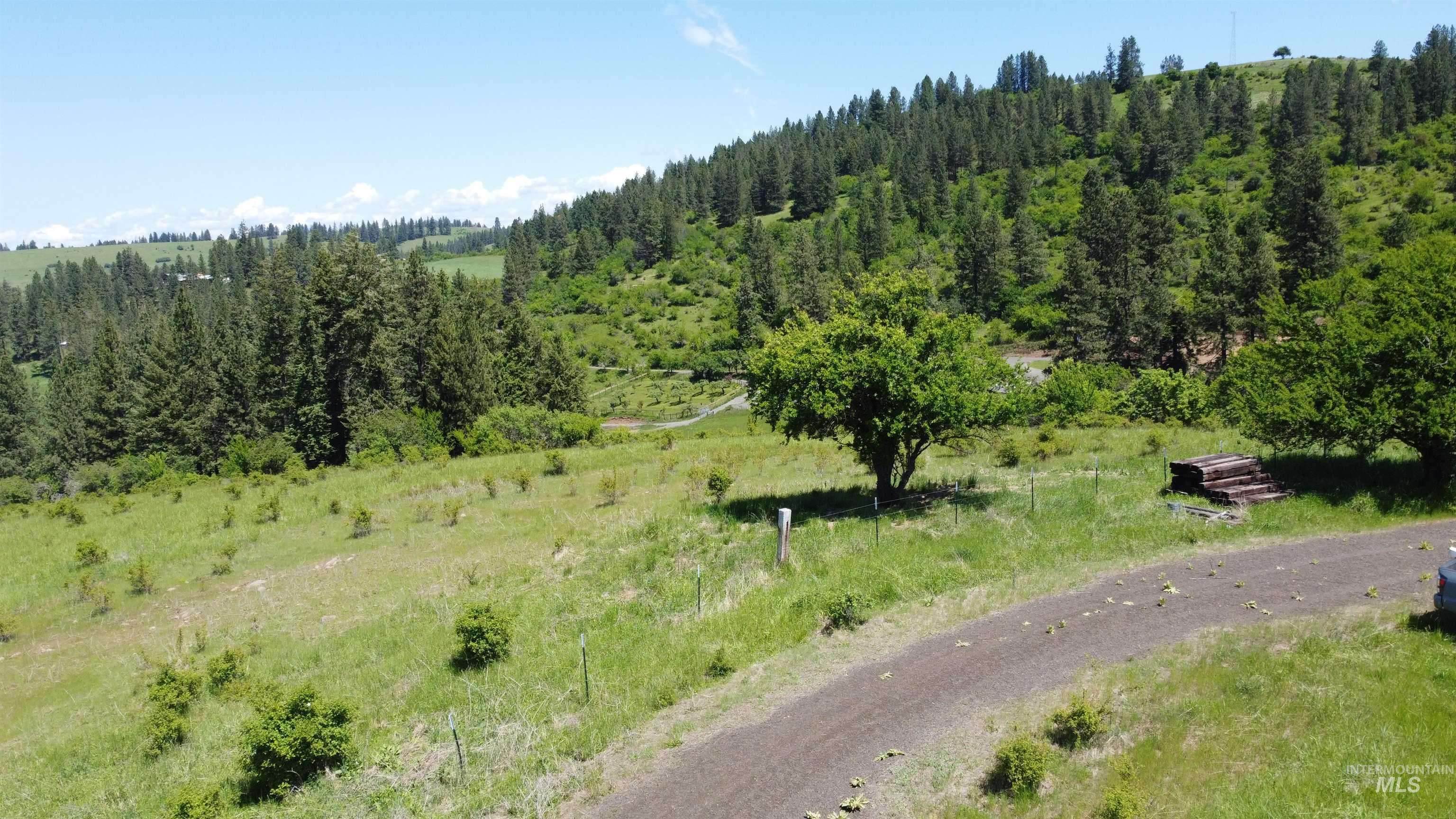 Grangeville, ID 83530,51.92 Acres Sears Creek