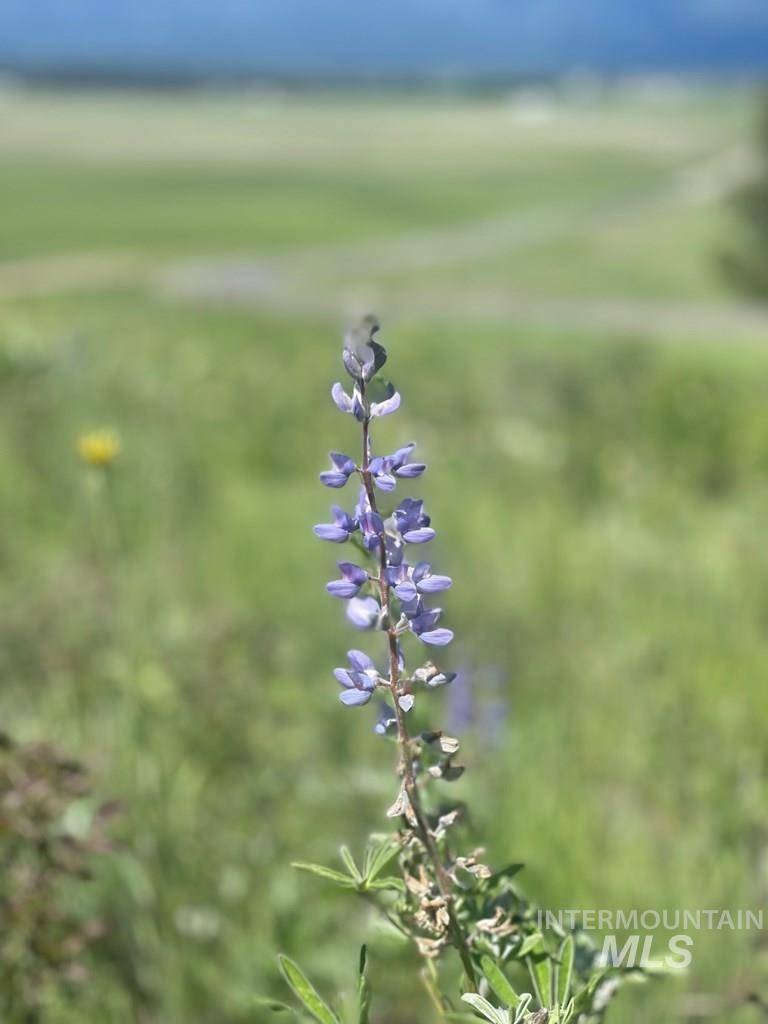 Donnelly, ID 83615,TBD Barker Lane