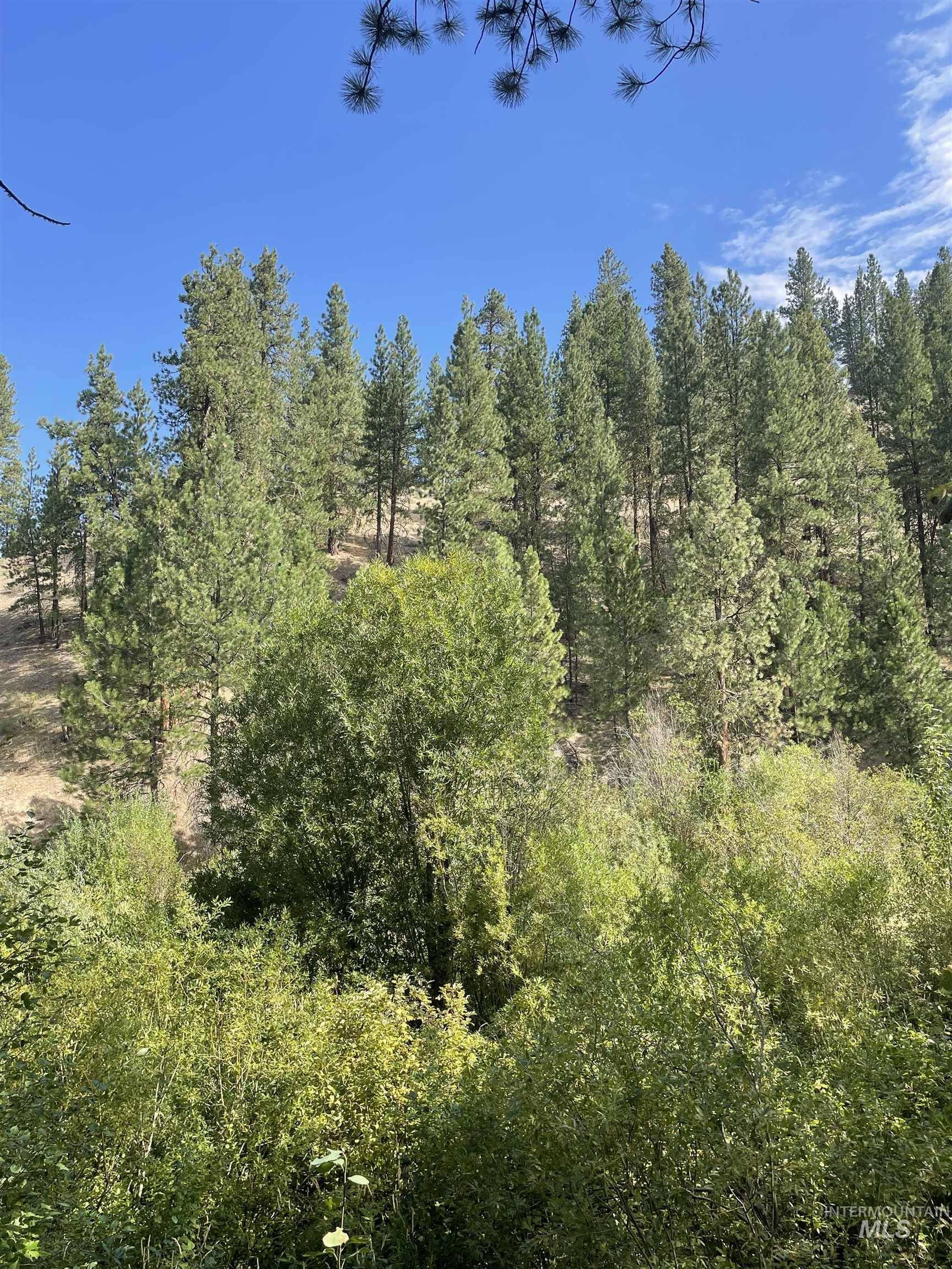 Pine, ID 83647,Lot 33 Block 1 Willis Carrie's Paradise Sub