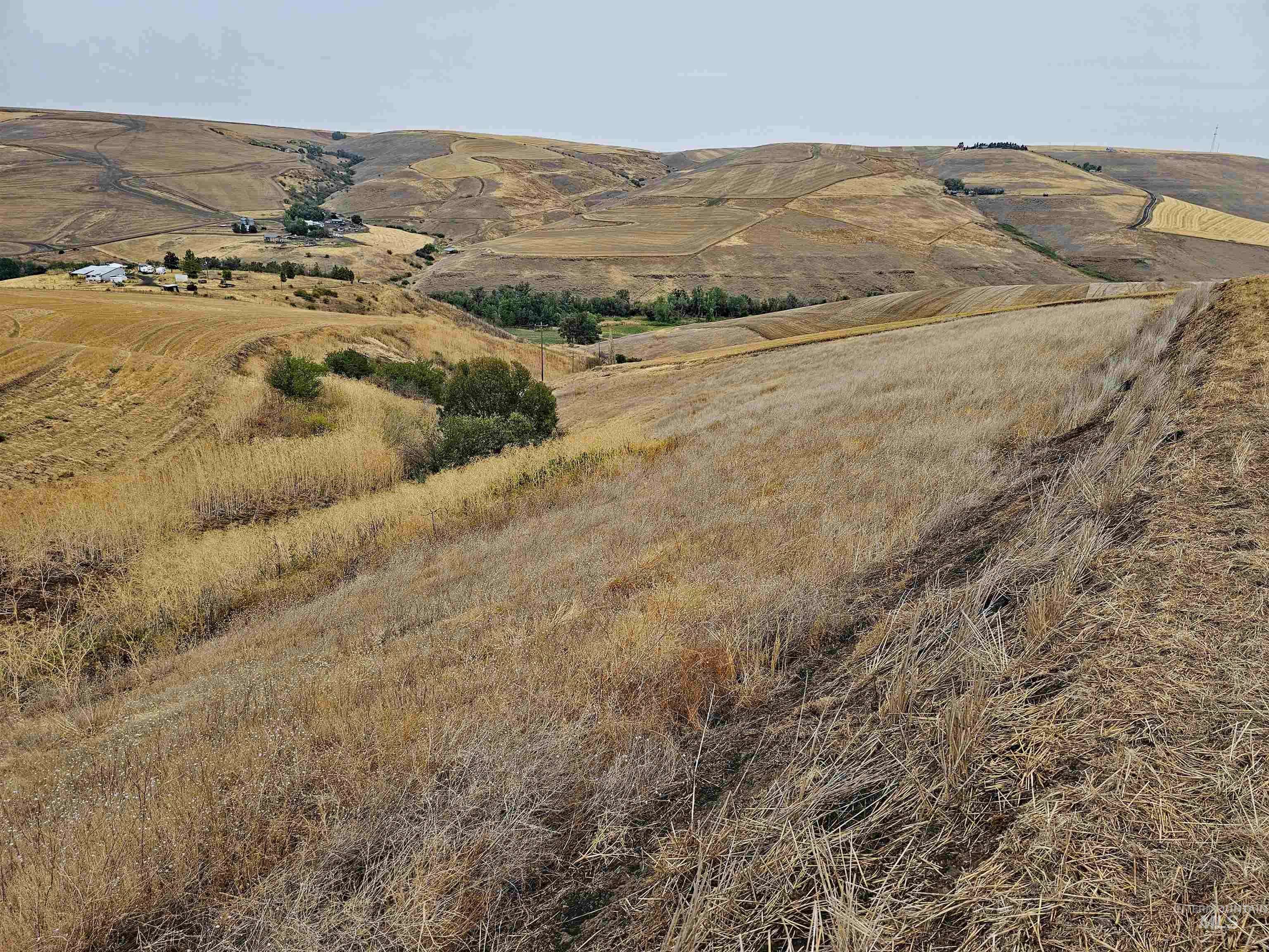 Lapwai, ID 83540,TBD Sander Grade, Parcel 2