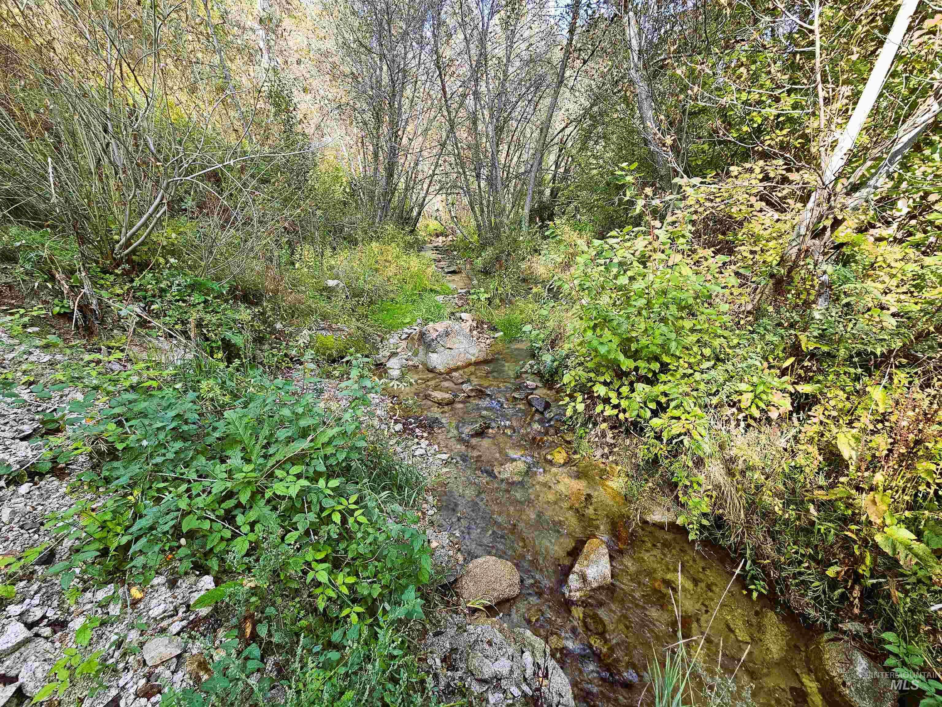 Boise, ID 83716,Lots 3,5,8 Robie Creek Rd