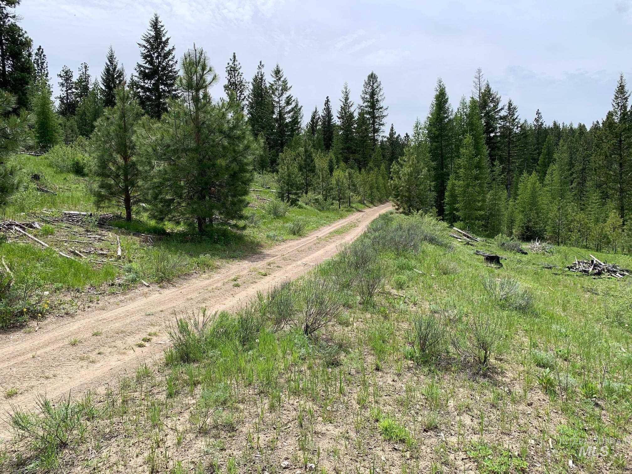 Sumpter, OR 97877,TBD National Forest Dev Rd #1170