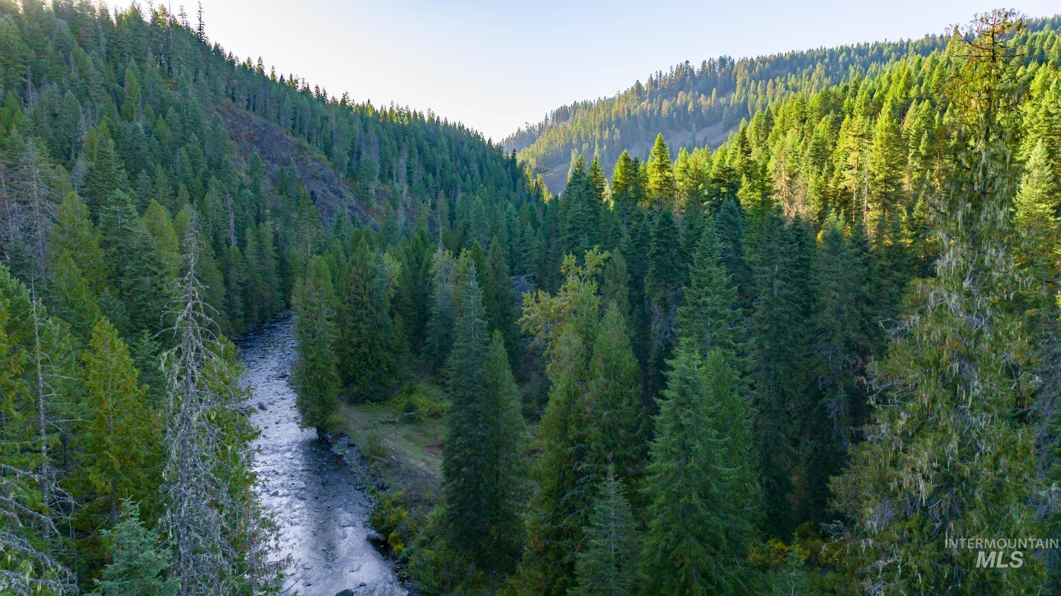 Weippe, ID 83553,36.5 acres Of 5856 Lacey Meadows Rd