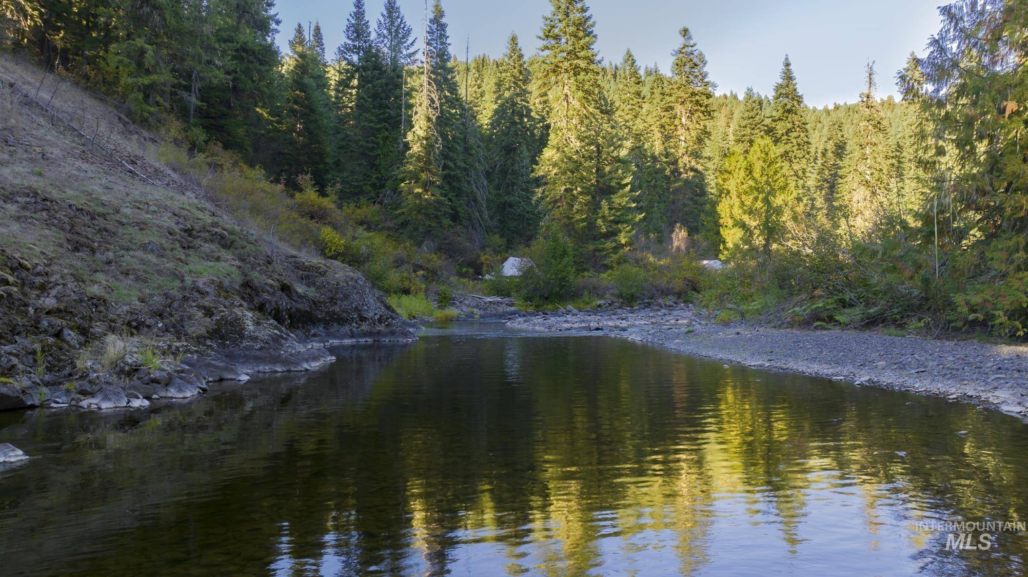 Weippe, ID 83553,36.5 acres Of 5856 Lacey Meadows Rd