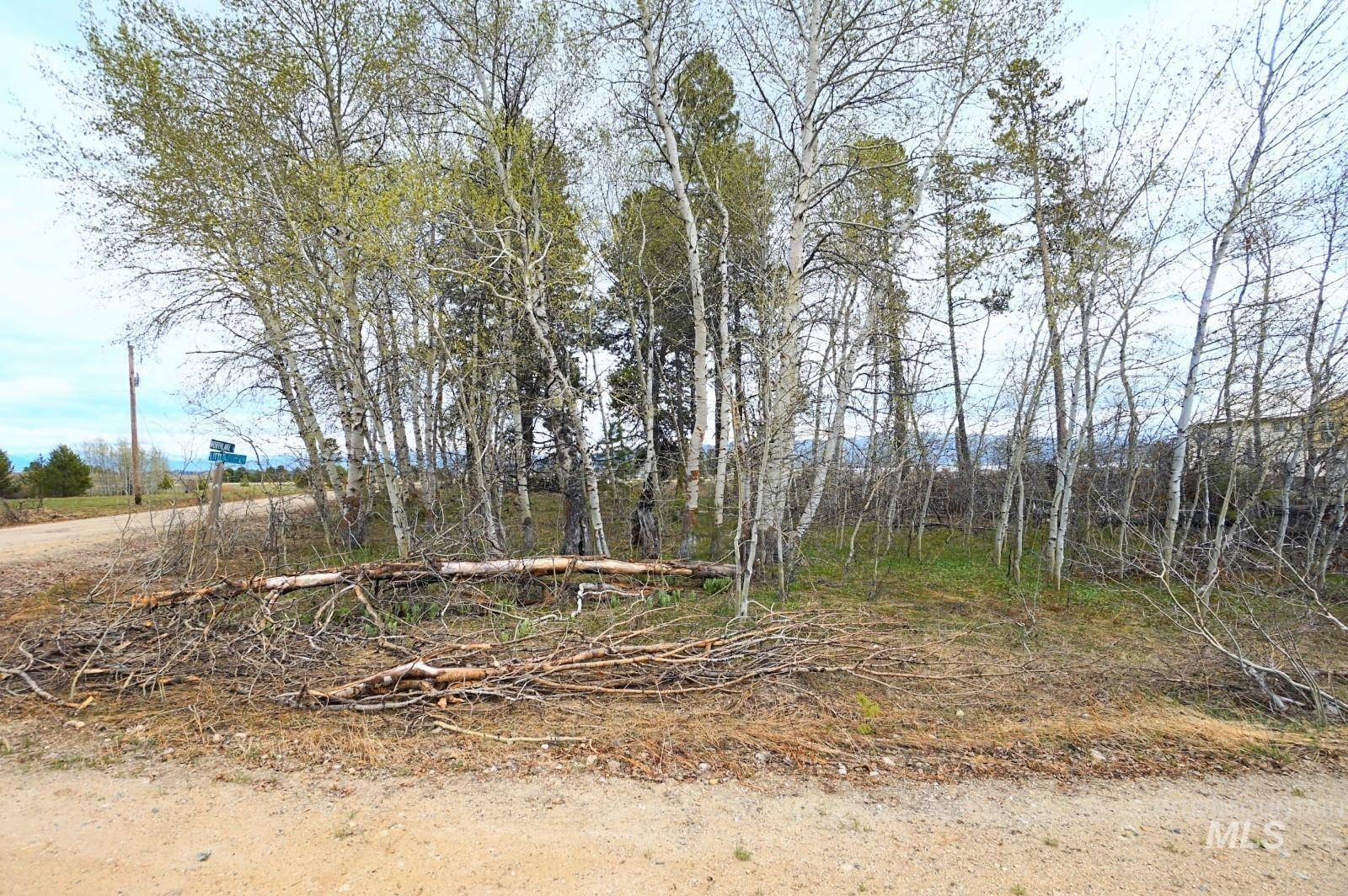 Donnelly, ID 83615,LOT 53 Little Pine Road