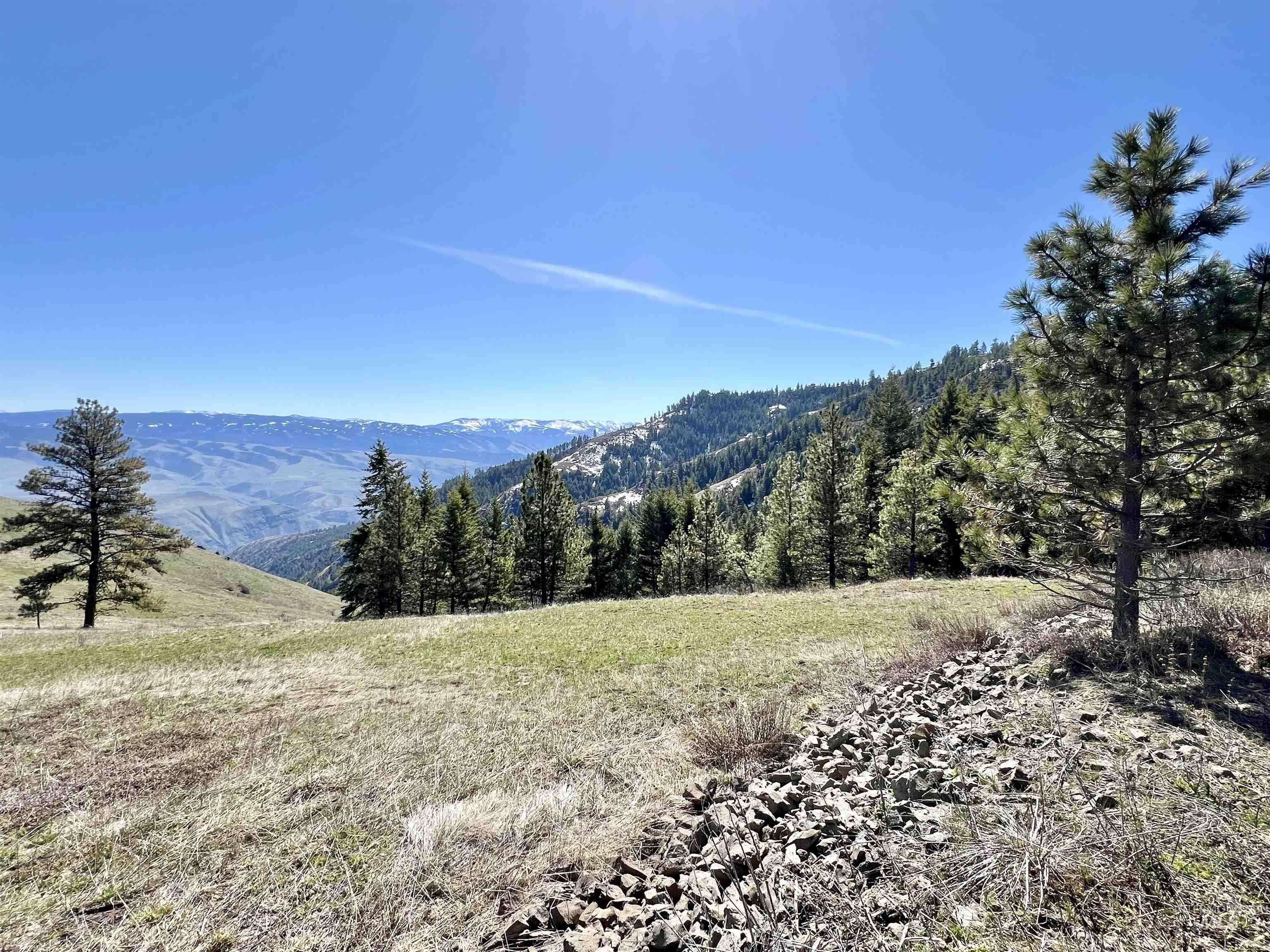 White Bird, ID 83554,TBD Lot 50 Twin River Ranch Iii