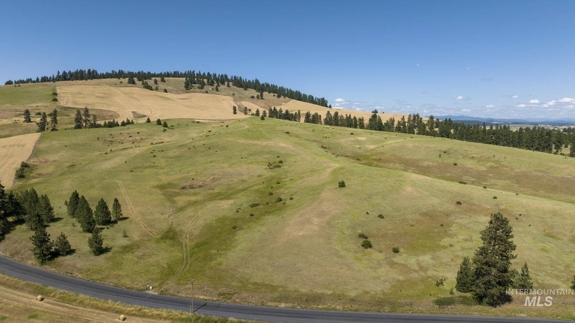 Moscow, ID 83843,TBD Parcel # 1 Lenville