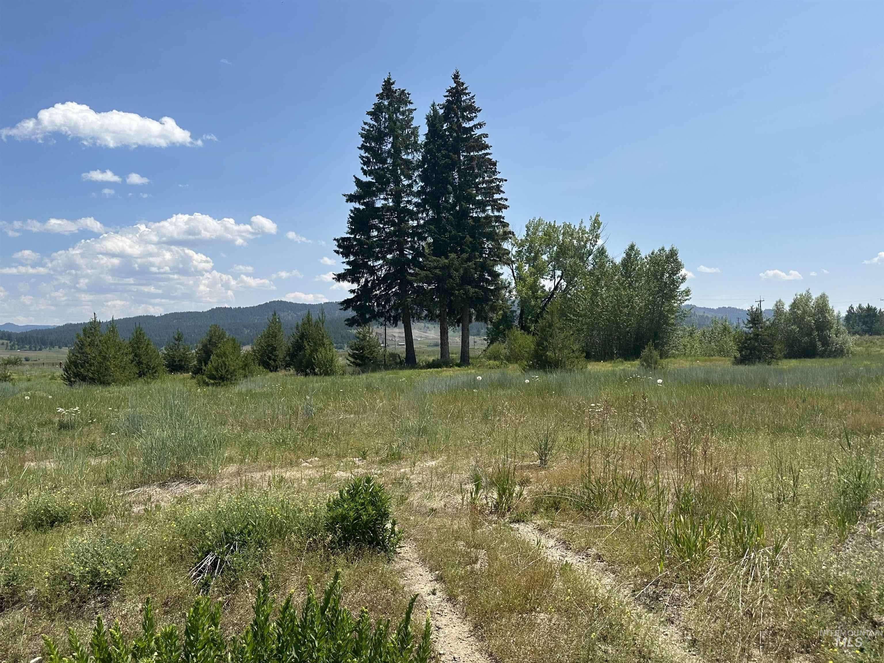 Donnelly, ID 83615,Lot 4 Block 1 Gold Fork