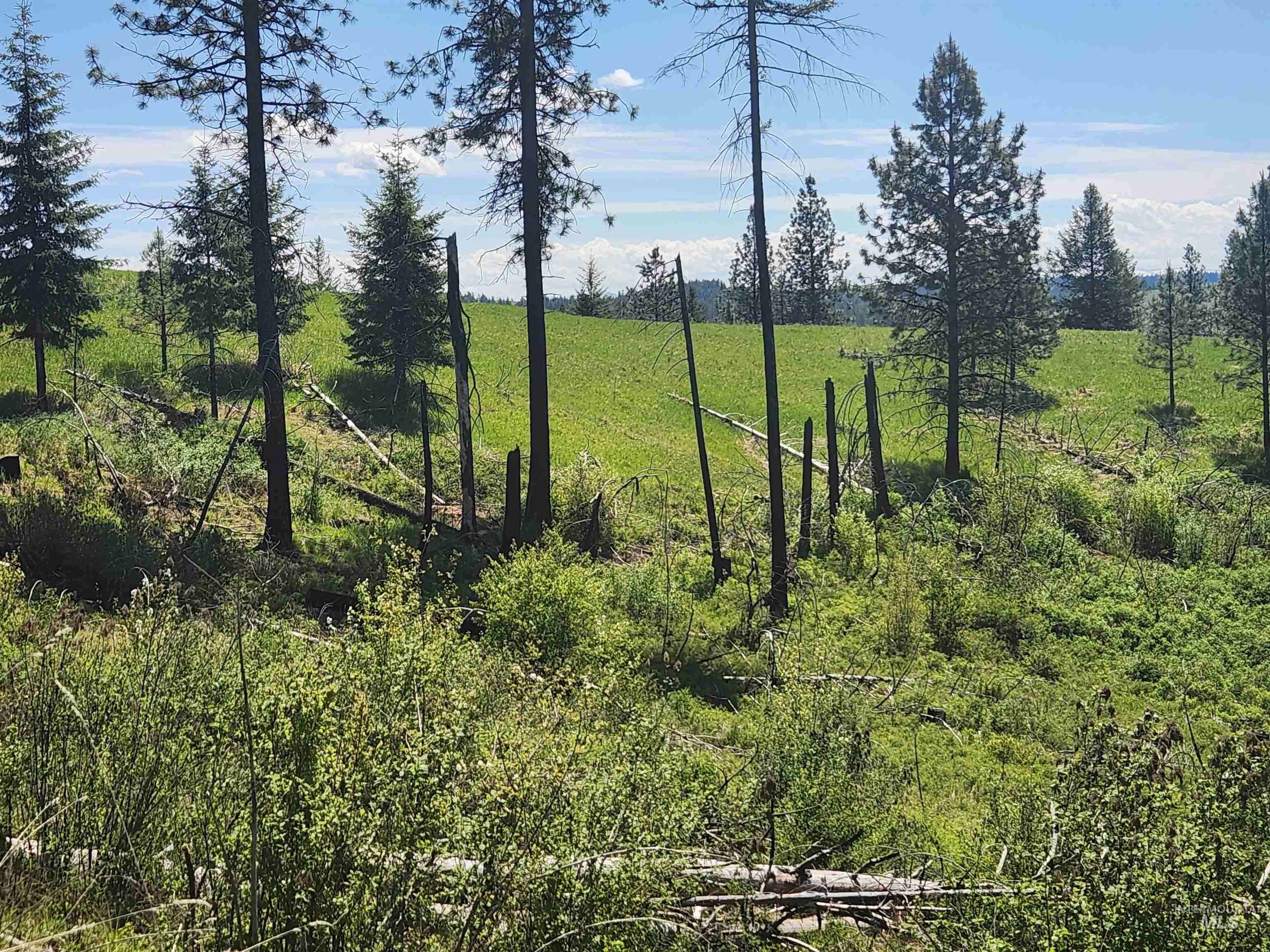 Weippe, ID 83553,906 Pleasant Valley Ln