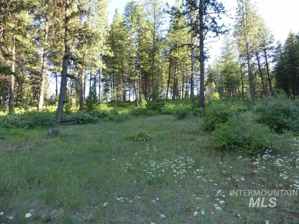 New Meadows, ID 83654,TBD Kimberland Drive