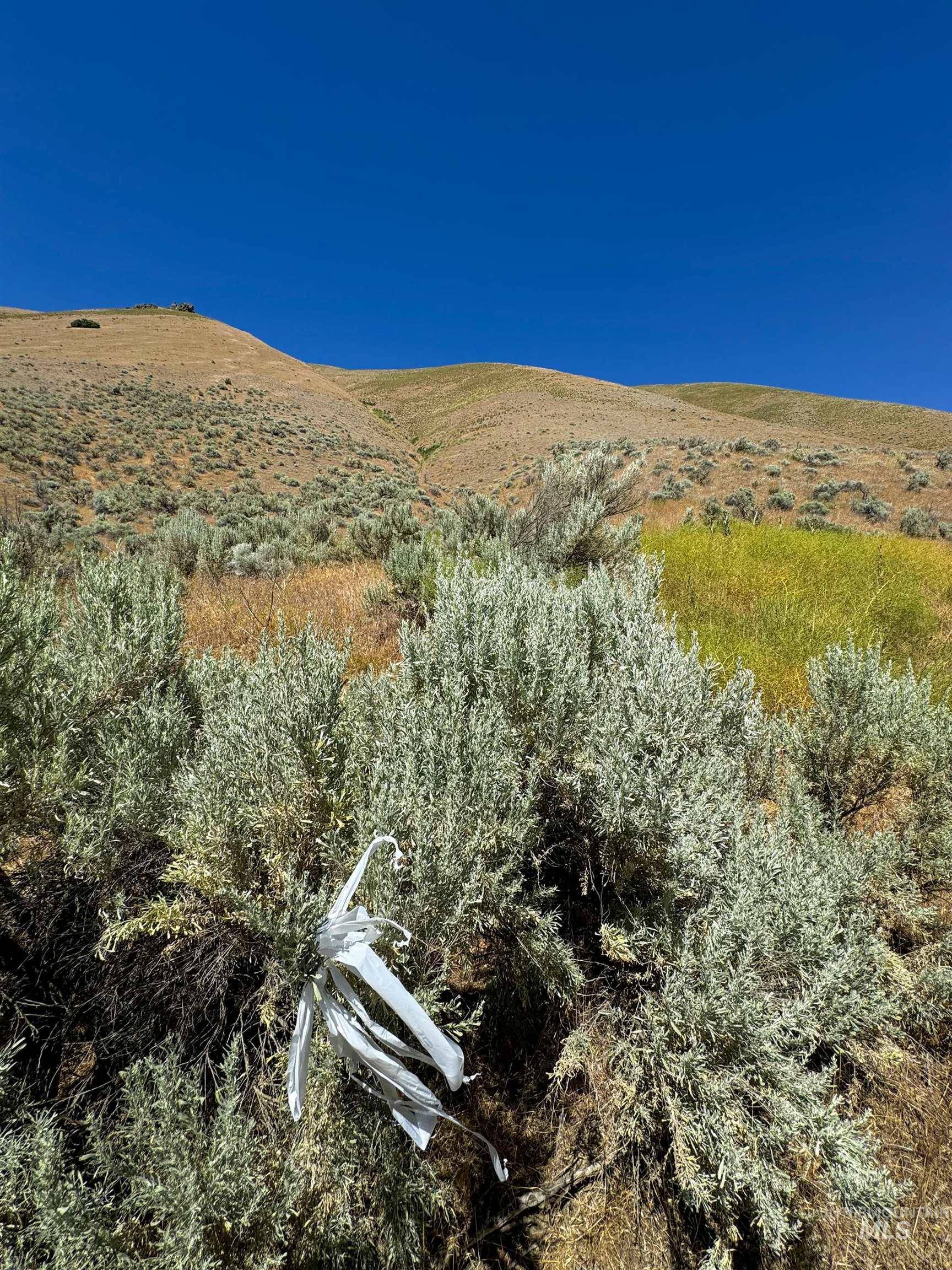 Weiser, ID 83672,Lot 2, Parcel 1 Dennett Creek Rd