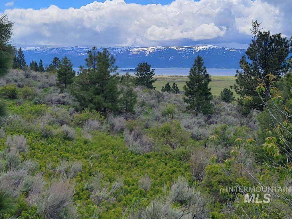 Donnelly, ID 83615,21.94 AC Goode Lane