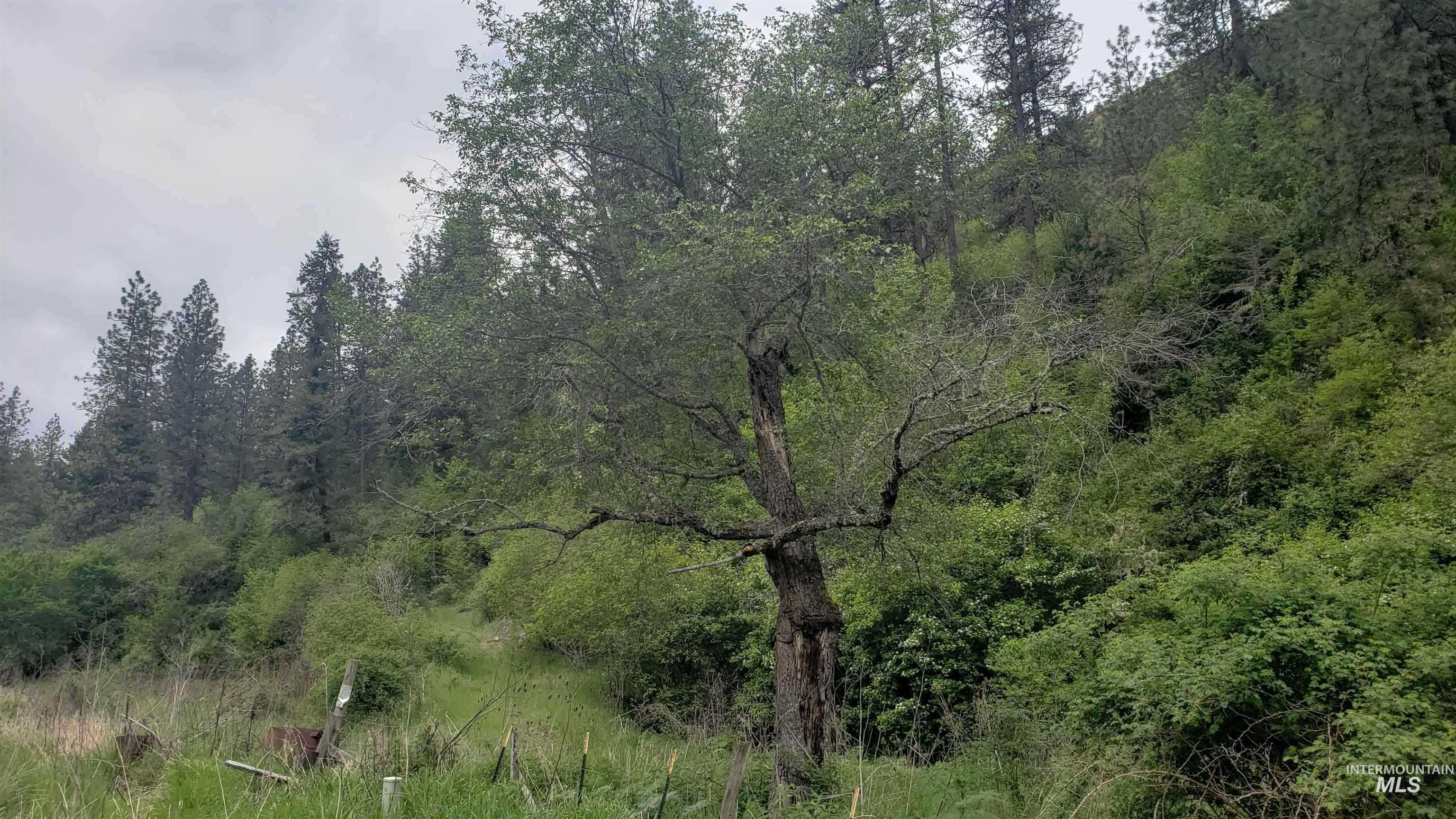 Kamiah, ID 83536,2634 Hwy 162