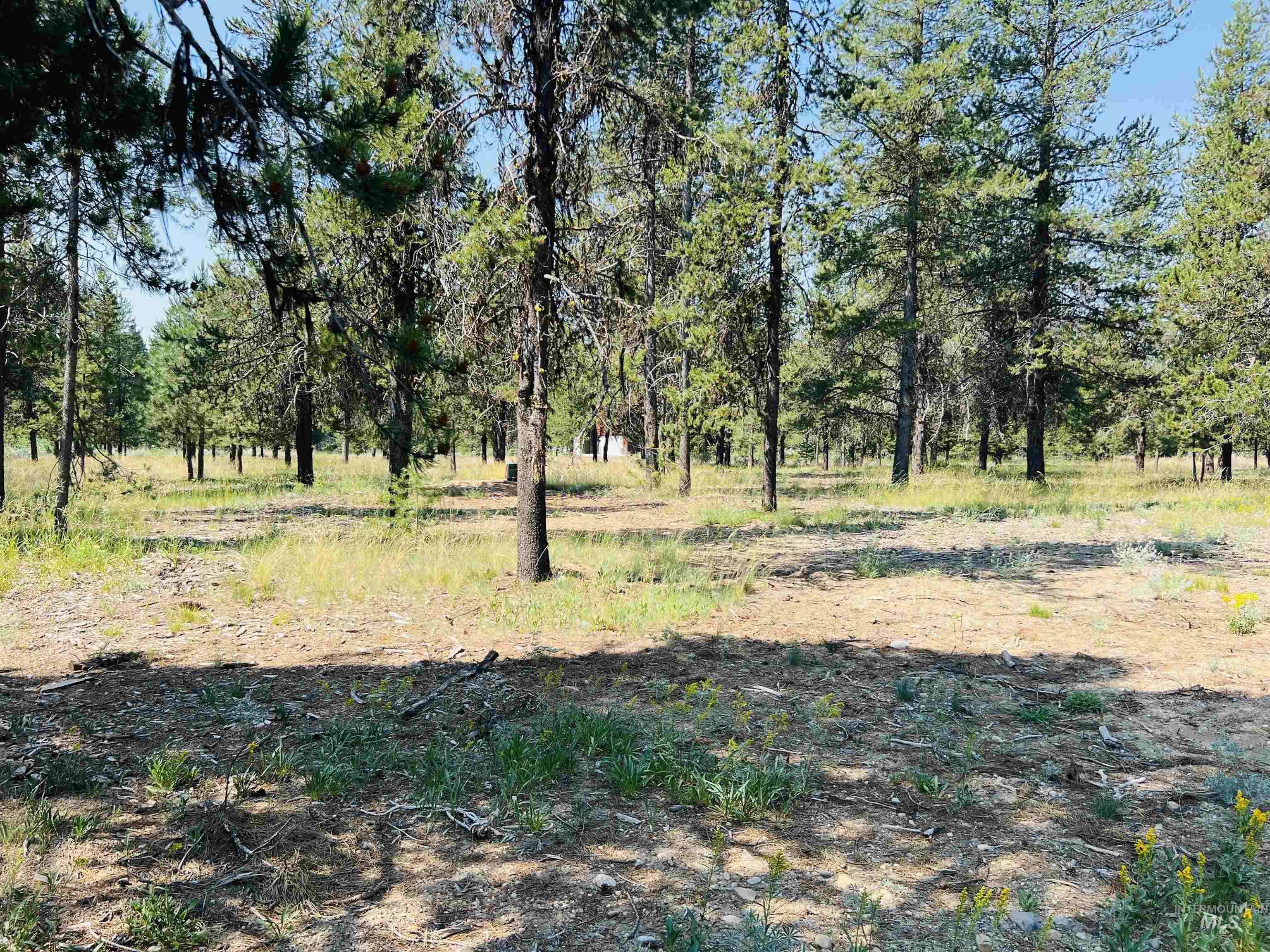 Mccall, ID 83638,Lot 4 Chad Drive