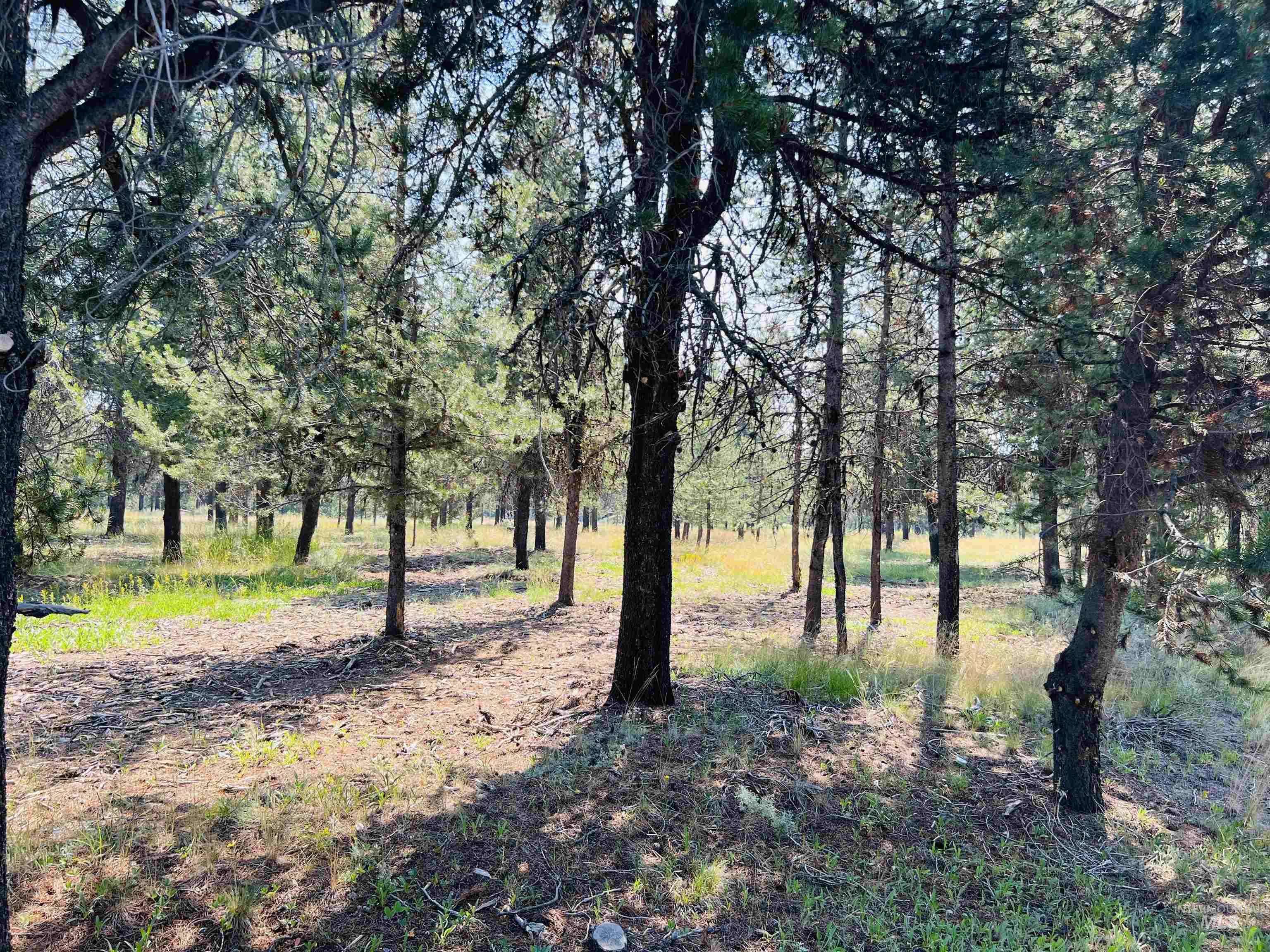 Mccall, ID 83638,Lot 5 Coy Road