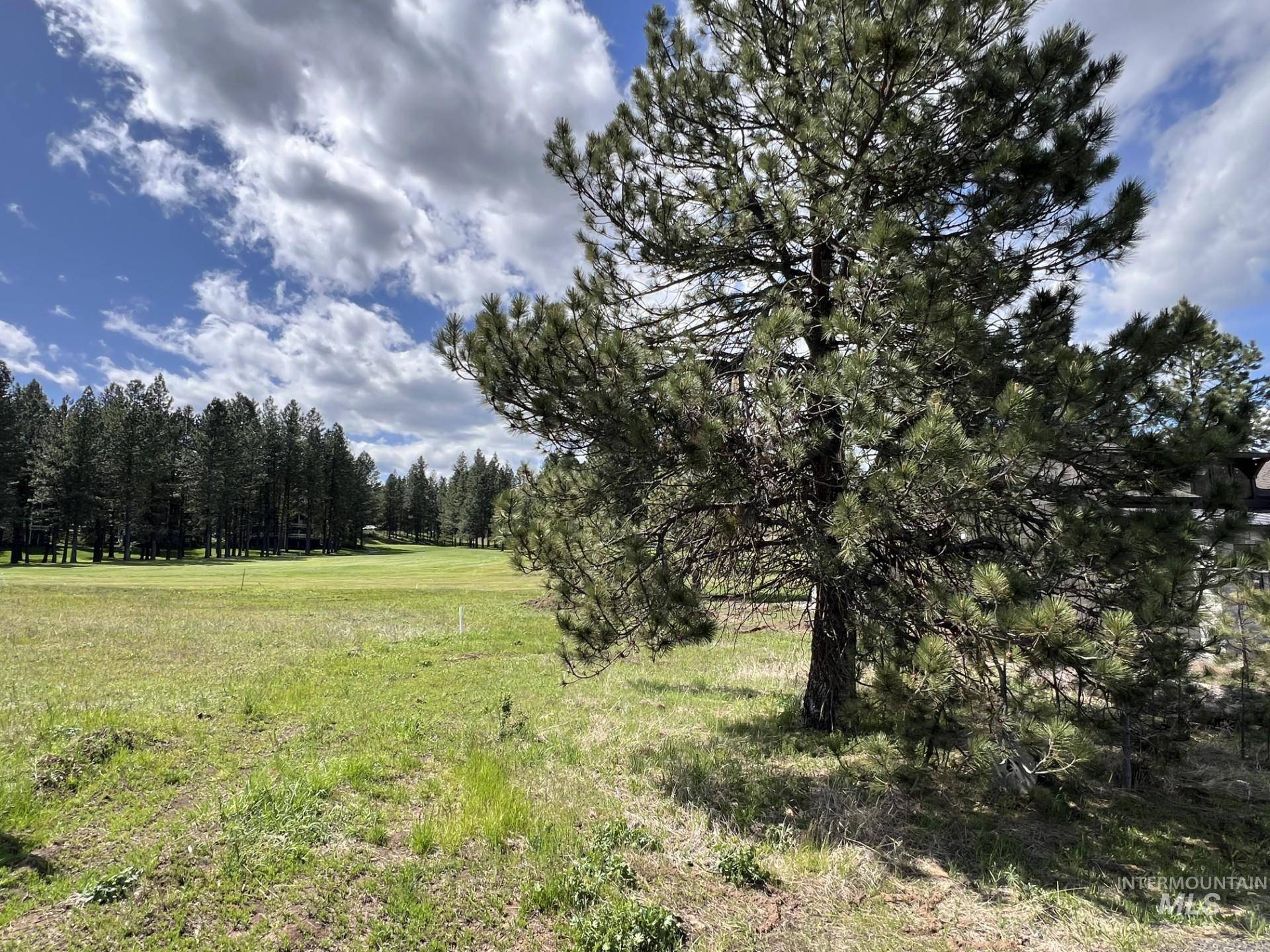 New Meadows, ID 83654,TBD Village Loop Lot 33