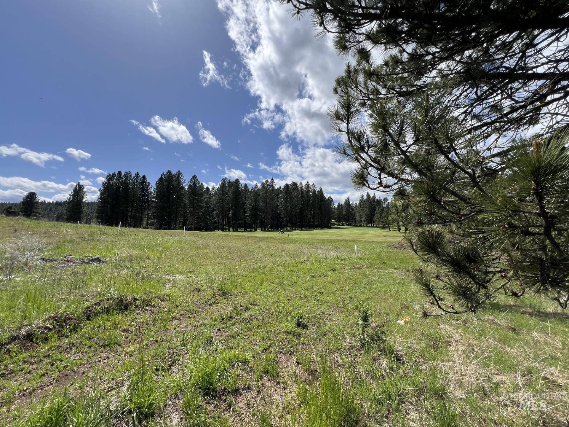 New Meadows, ID 83654,TBD Village Loop Lot 33