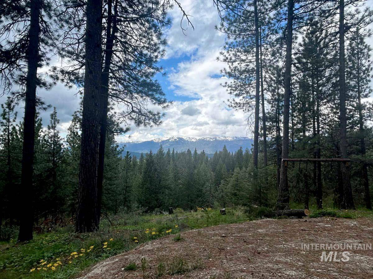 Cascade, ID 83611,5 Katlin Trail