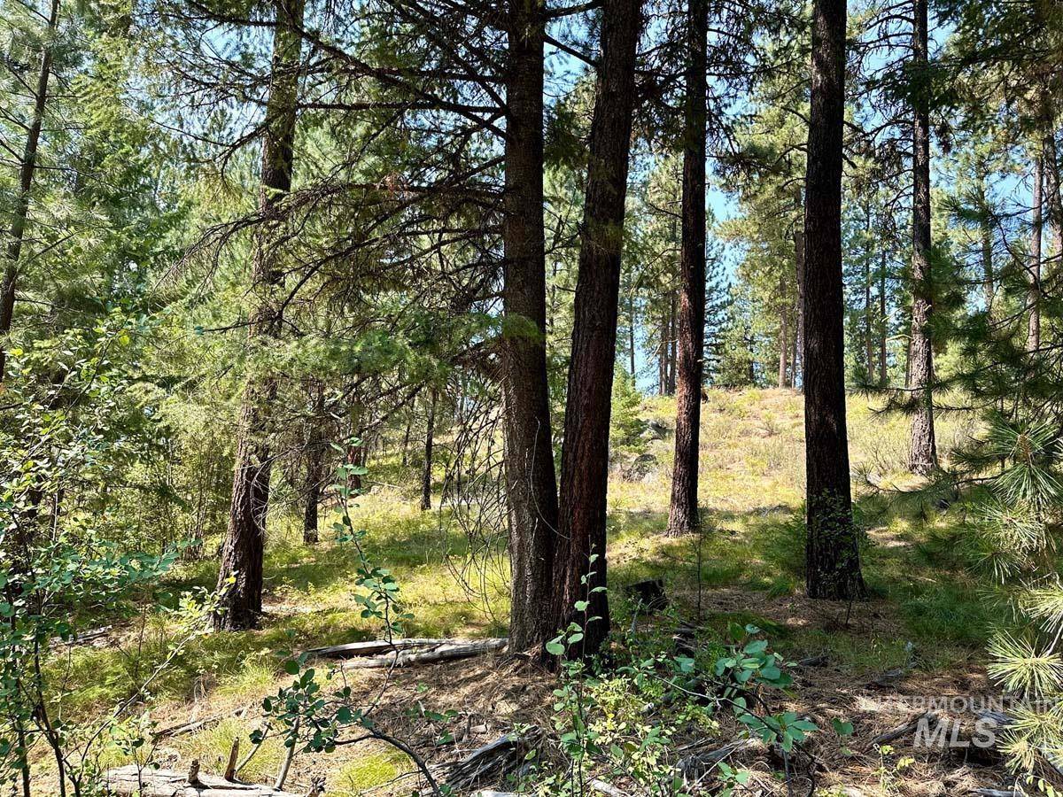 Cascade, ID 83611,5 Katlin Trail