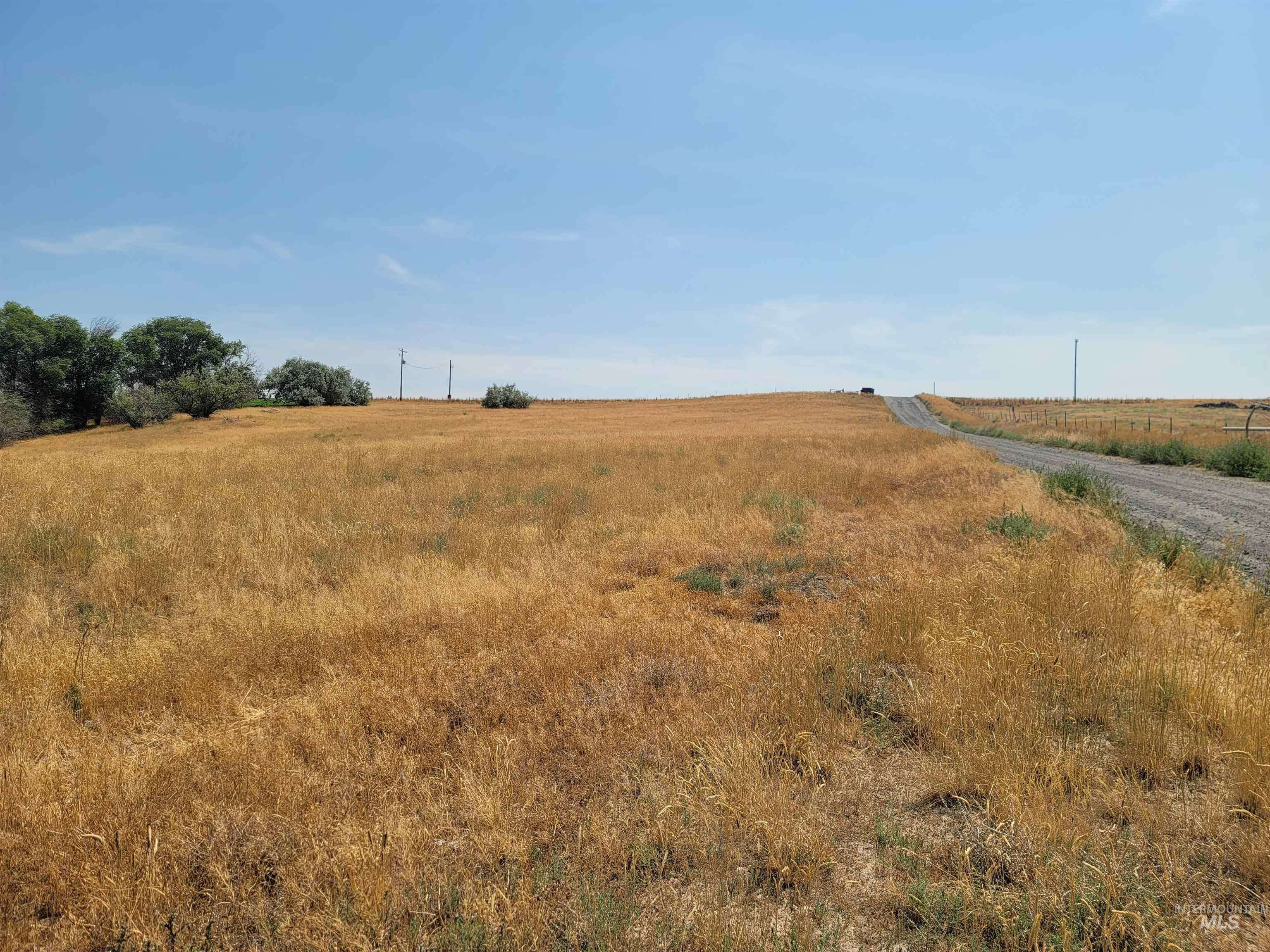 Buhl, ID 83316,Carter Pack Road