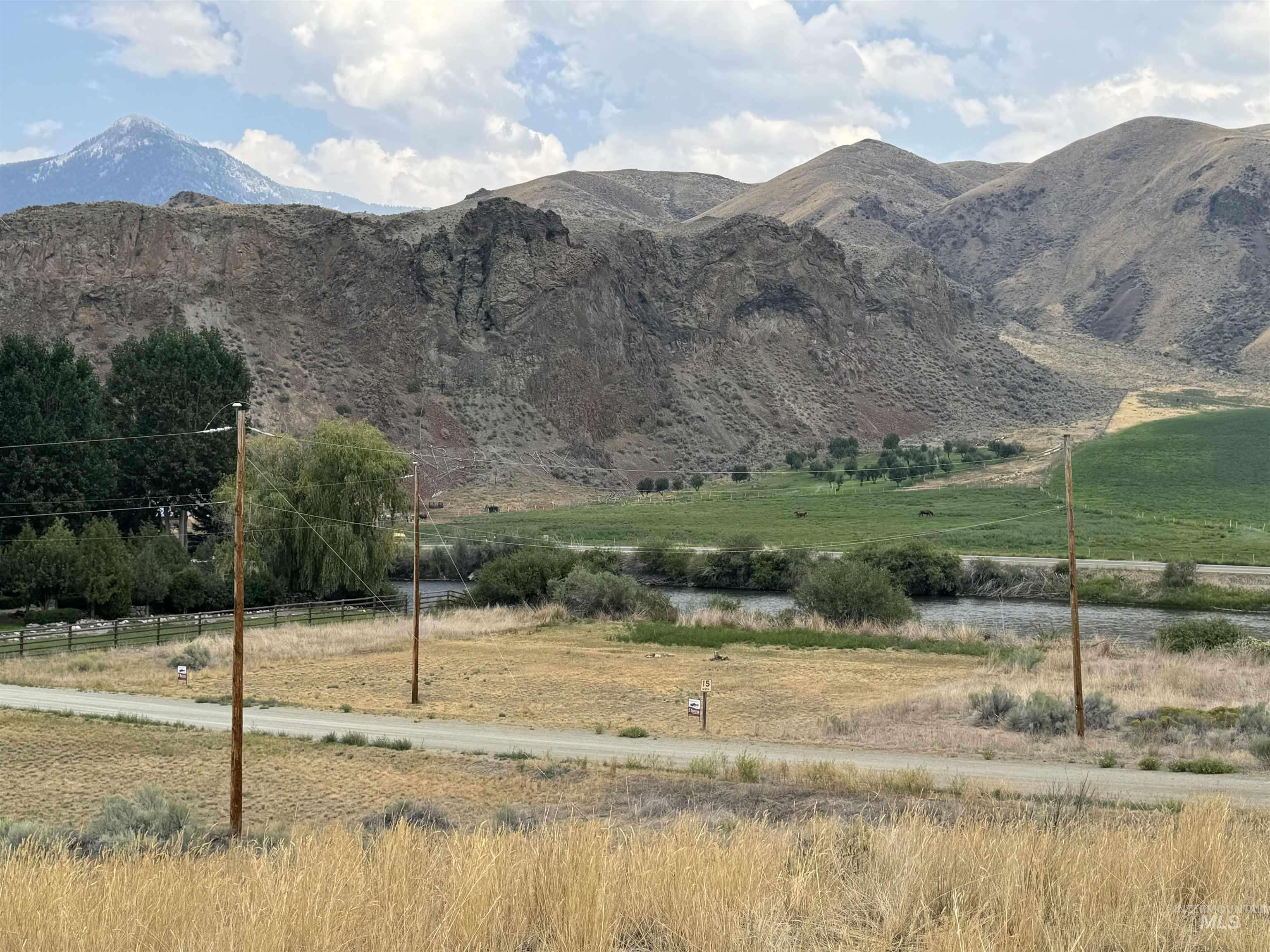 Salmon, ID 83467,Salmon River Meadows Lot 61