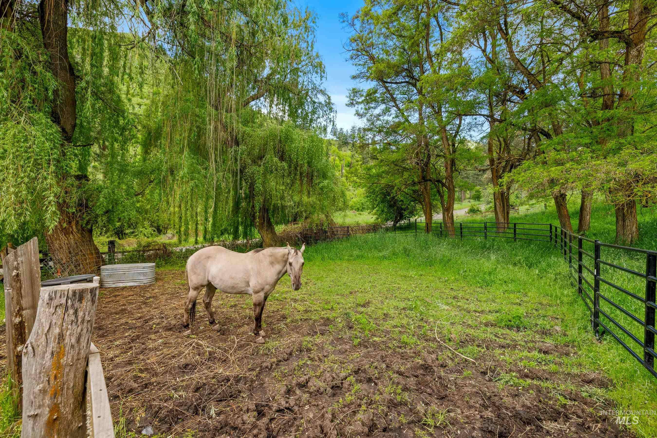 White Bird, ID 83554,1266 Deer Creek Road