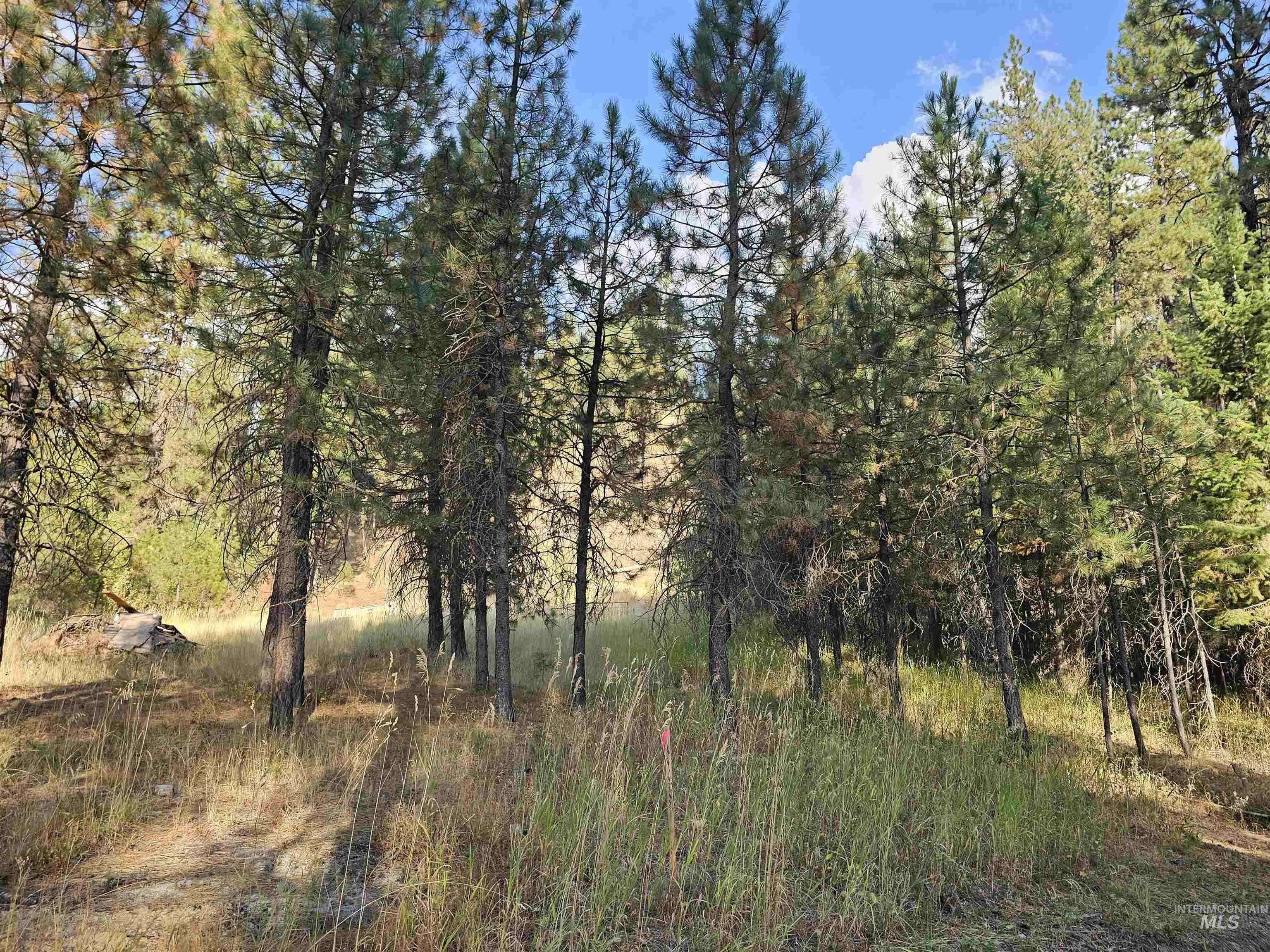 Garden Valley, ID 83622,TBD Bailey Ridge Road