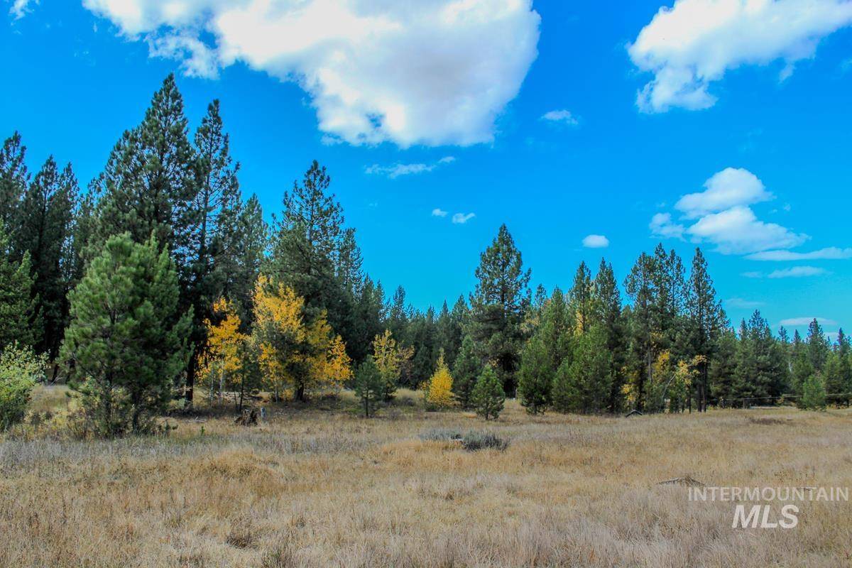 Cascade, ID 83611,110 Warner Drive