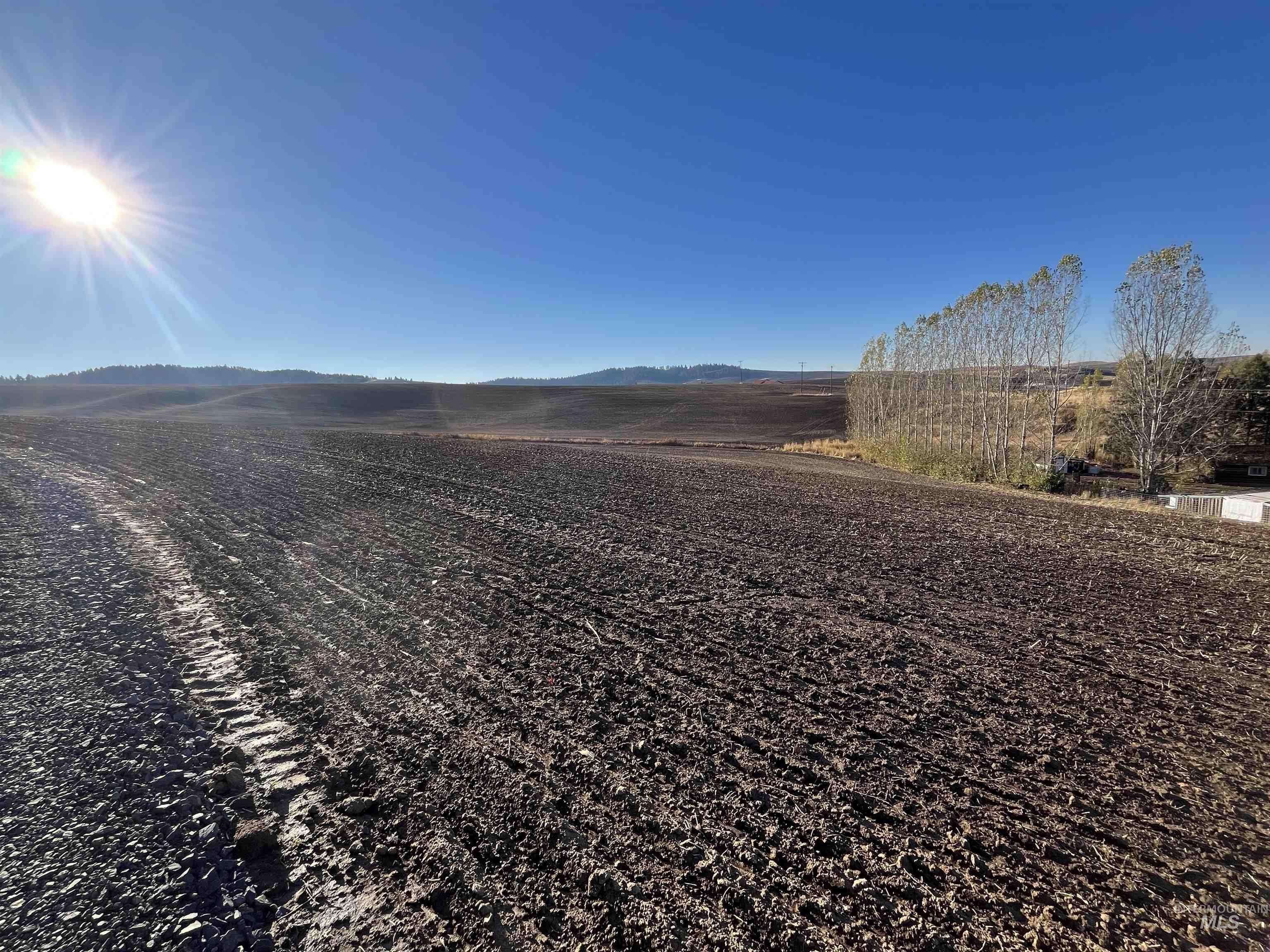 Viola, ID 83872,TBD Gray Lane Parcel #3