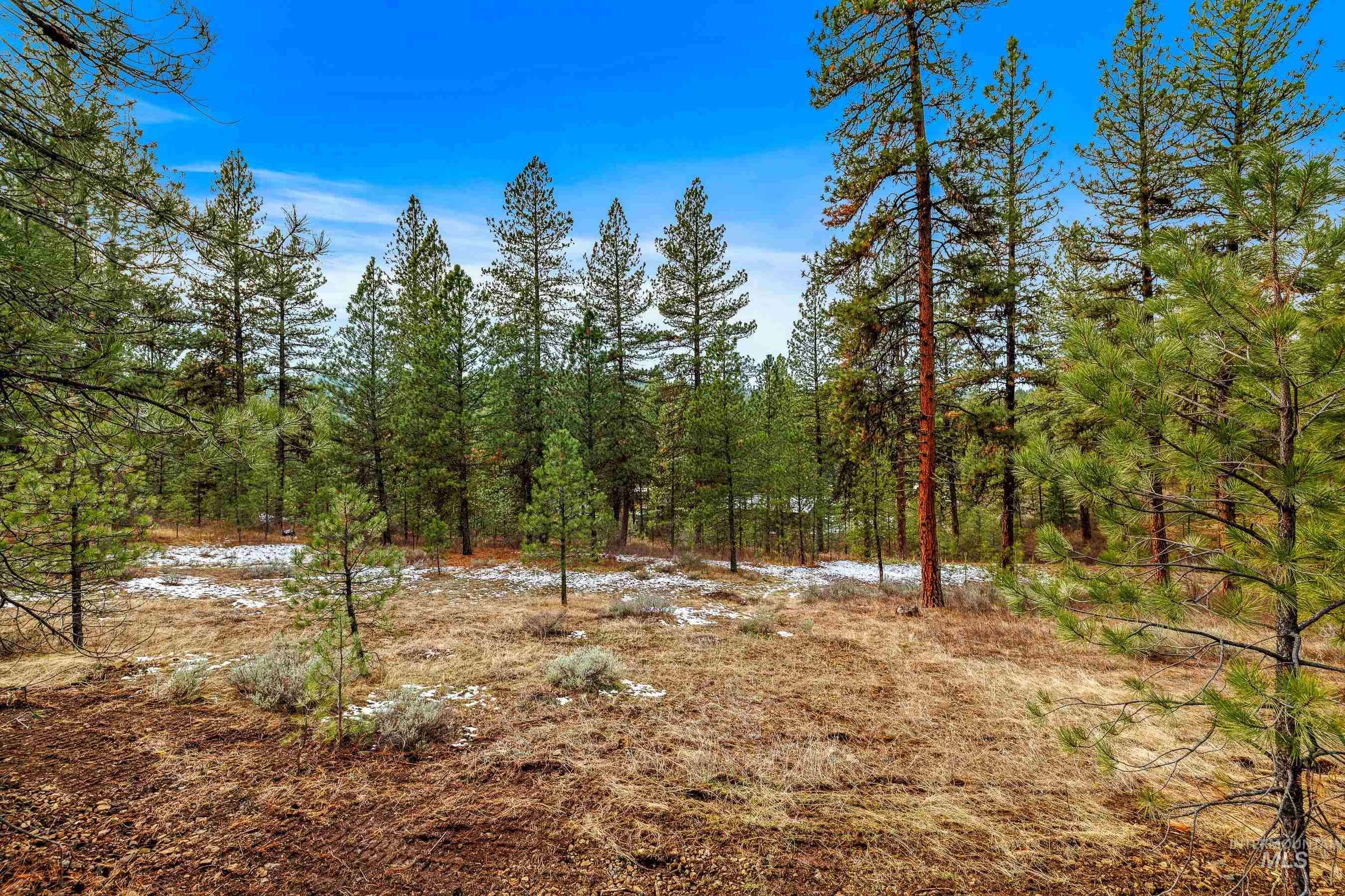 New Meadows, ID 83654,3917 Yarrow Drive