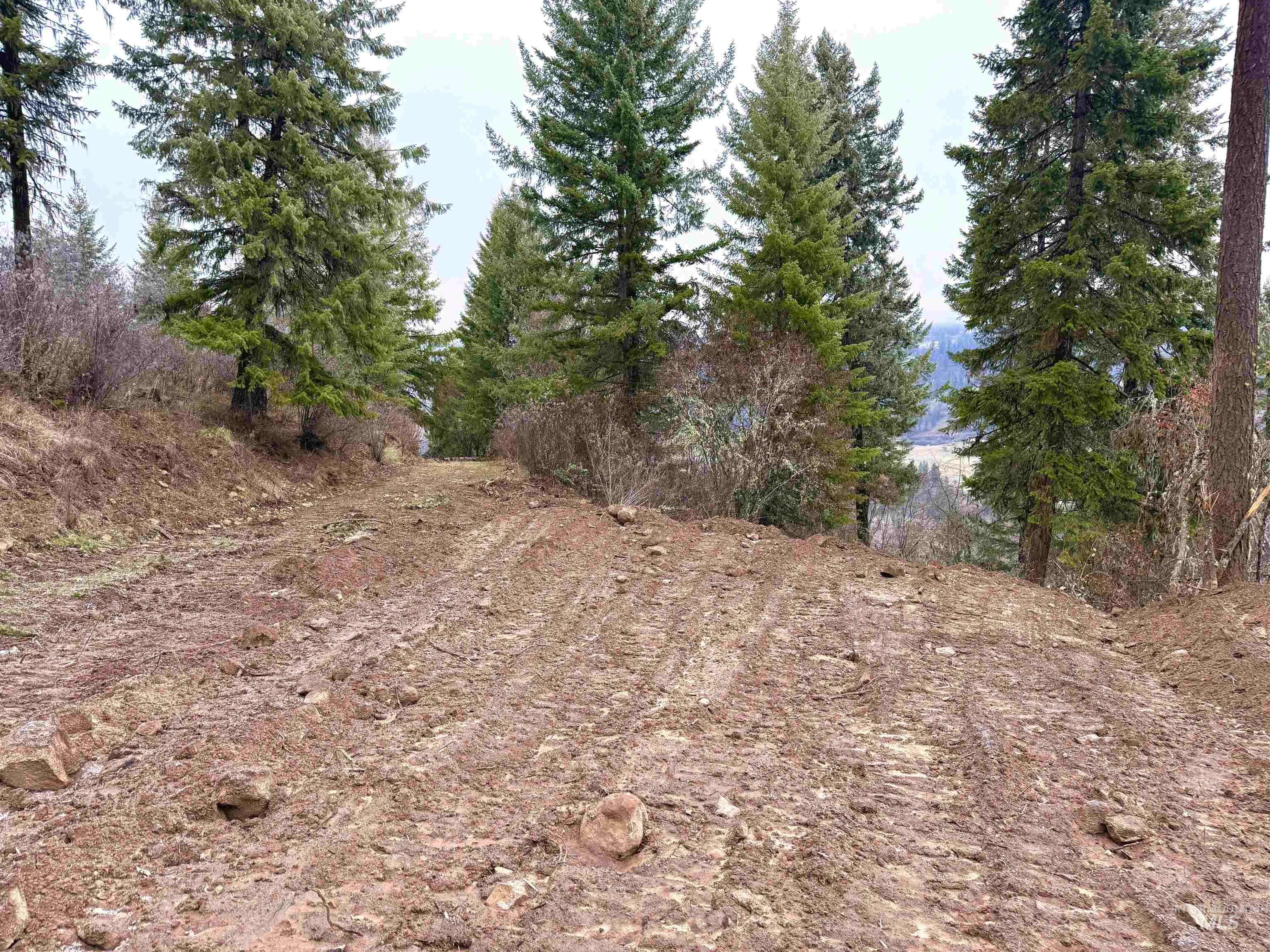 Orofino, ID 83544,1684 Tranquil Lane