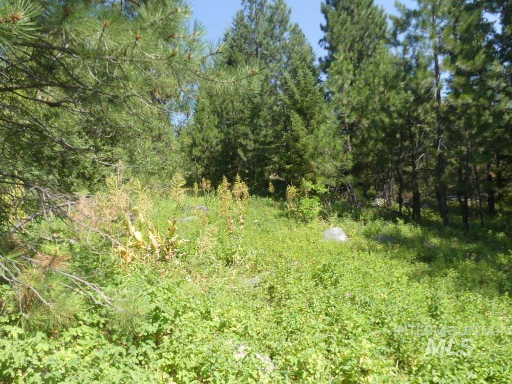 Mccall, ID 83638,1625 Lakeridge Drive