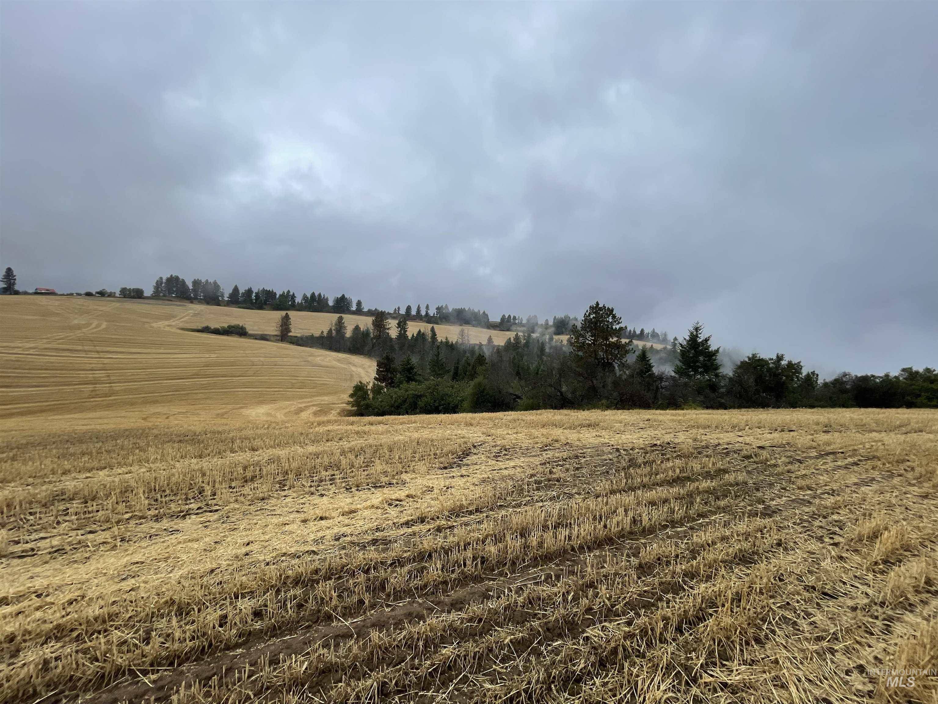 Nezperce, ID 83543,2439 Albers Rd