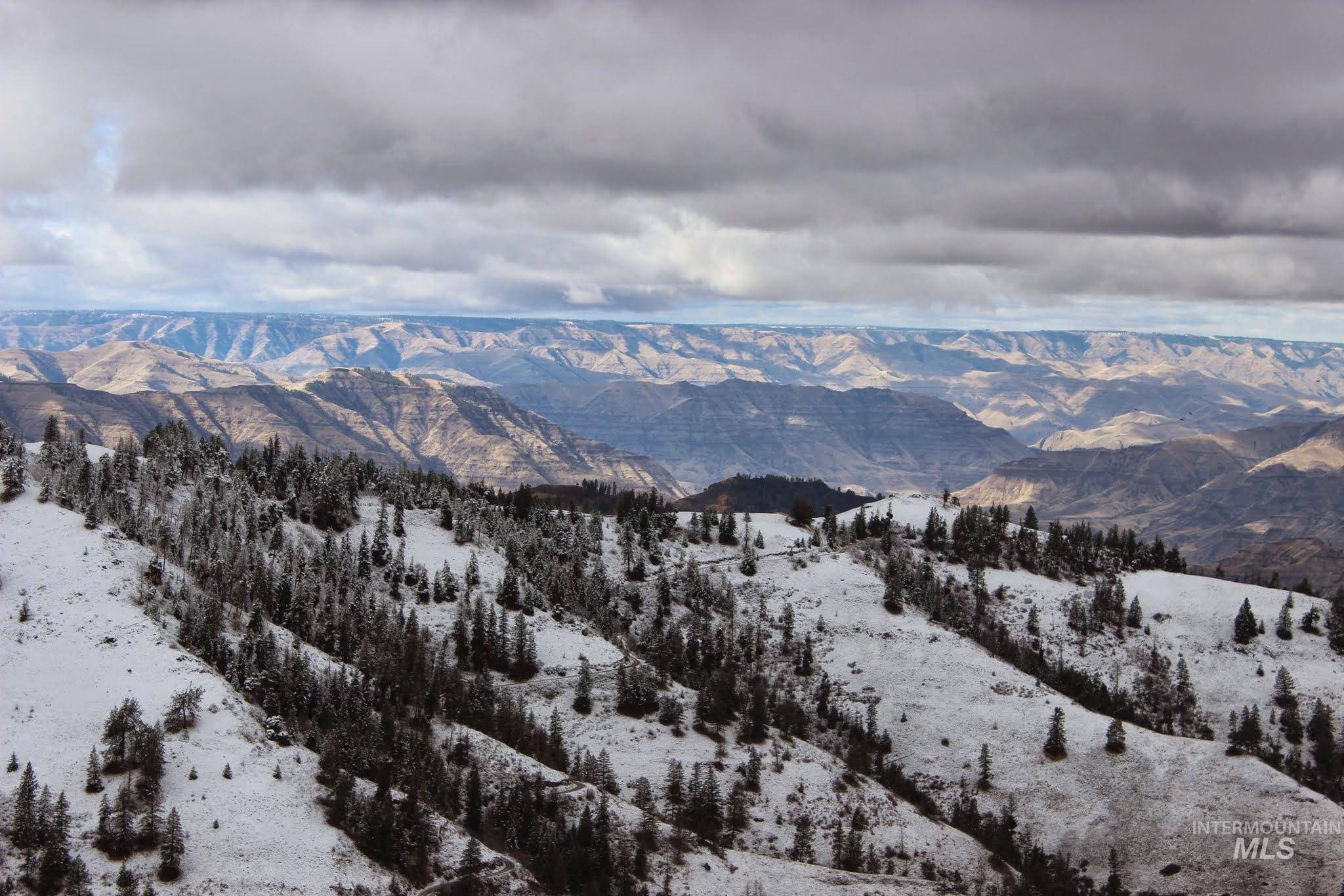 Cottonwood, ID 83522,478 Deer Gulch Rd