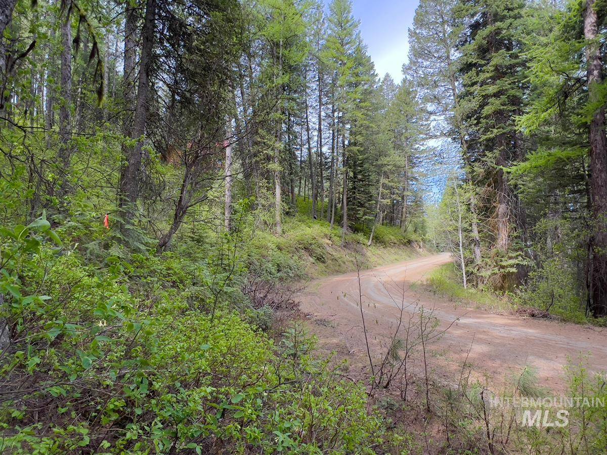 Cascade, ID 83611,45 Landale Lane