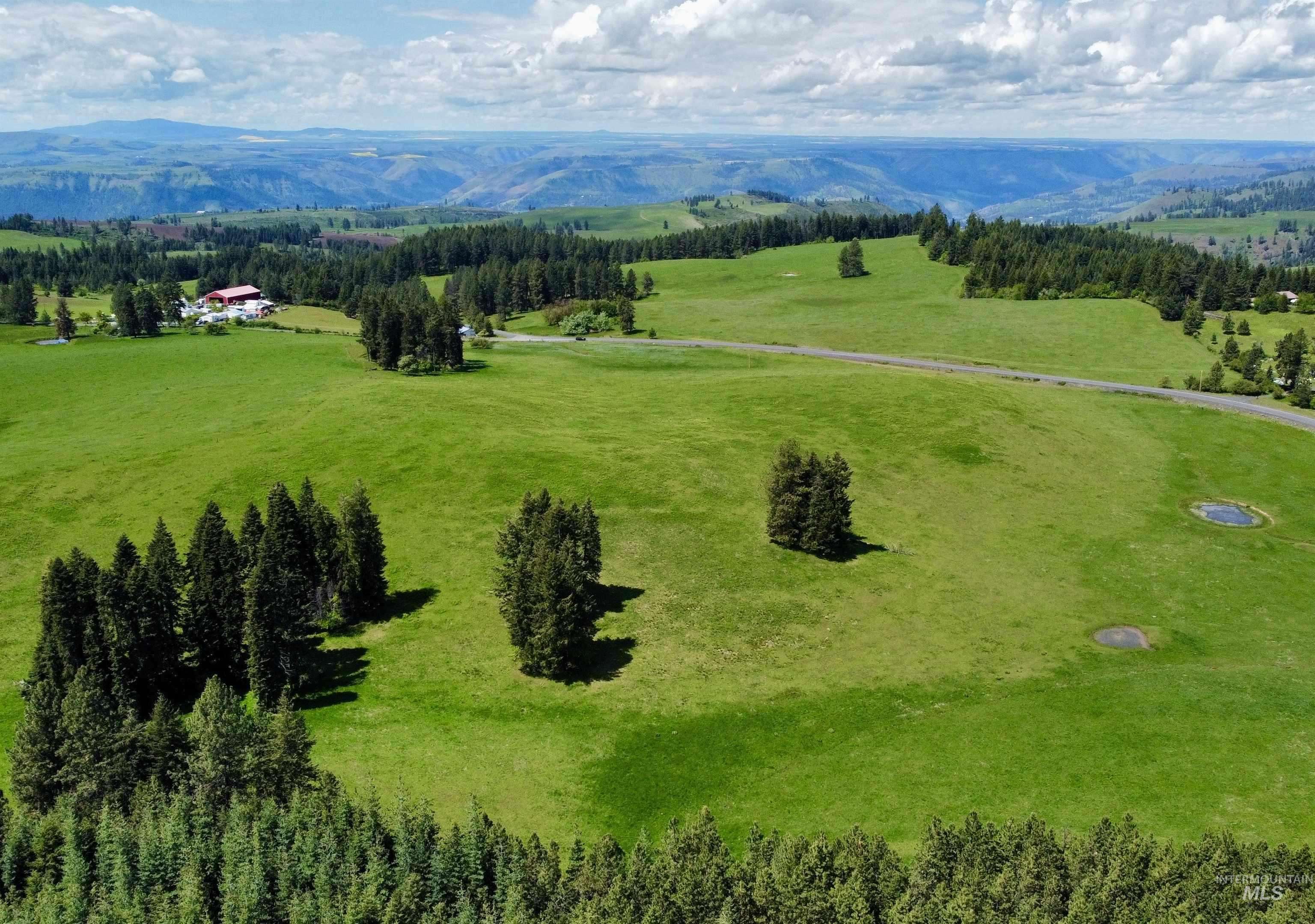 Kamiah, ID 83536,1726 Kidder Ridge Rd
