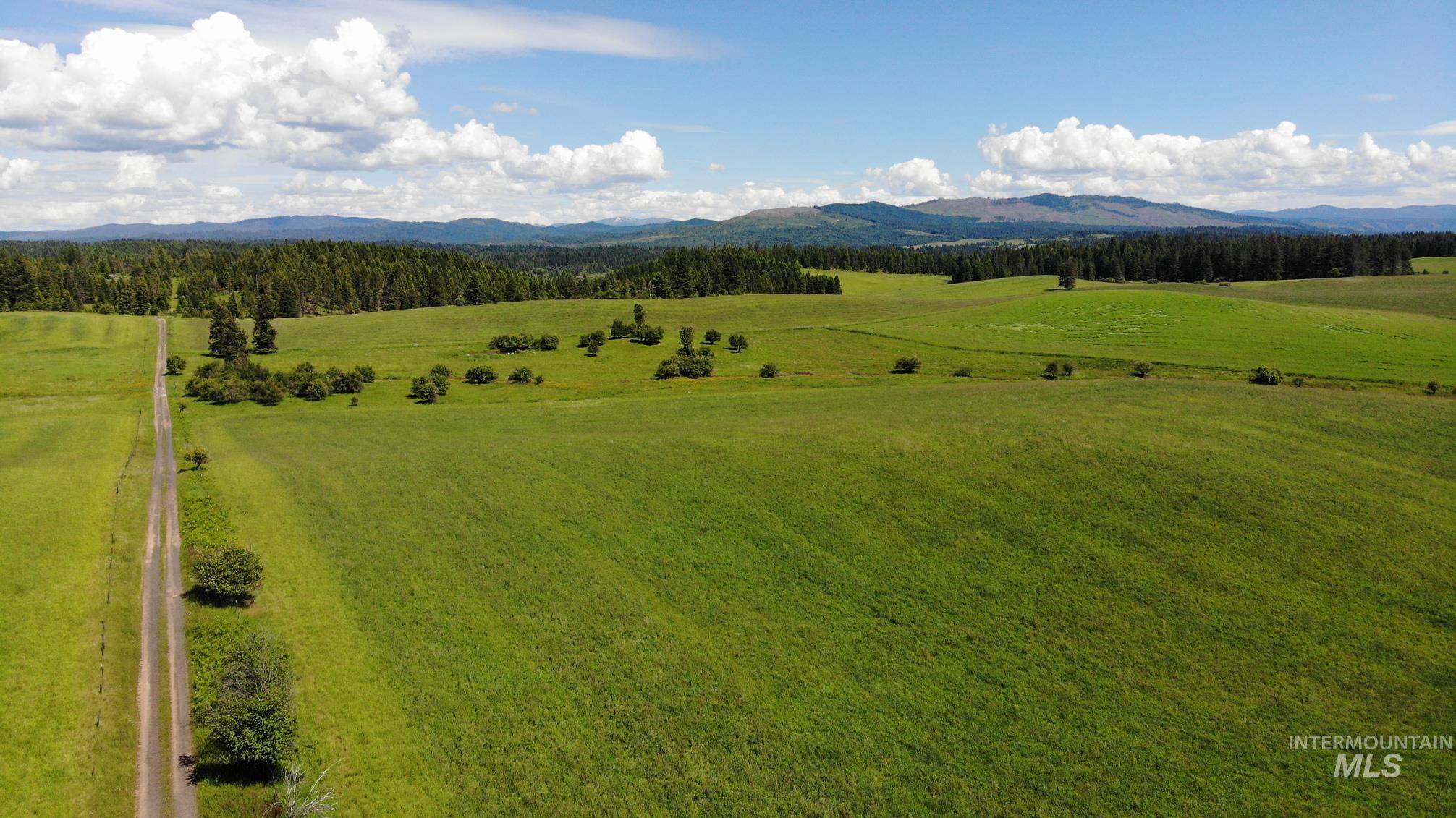 Kamiah, ID 83536,TBD Woodland-Caribel Road