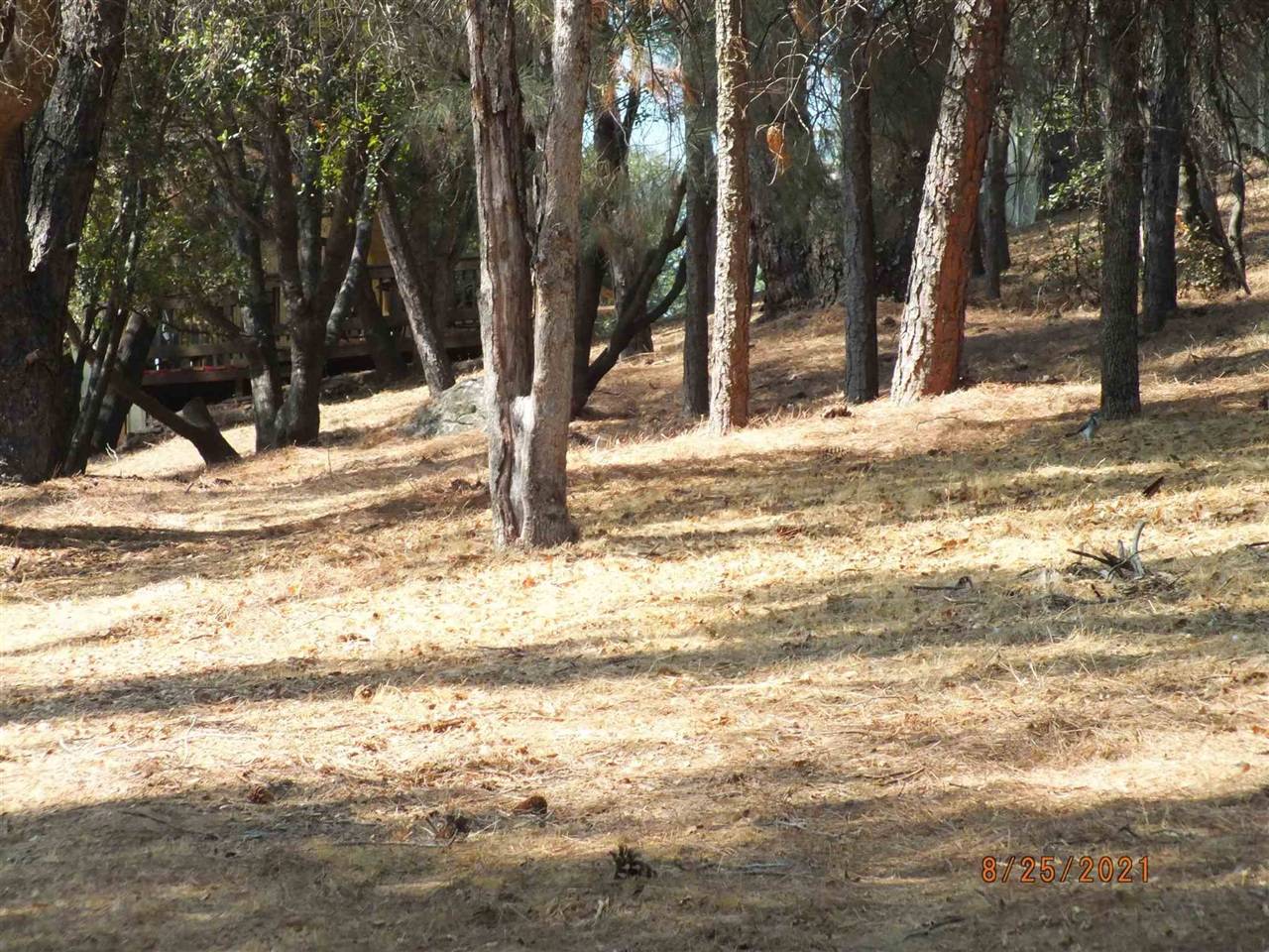 Groveland, CA 95321,20650 Crescent Way