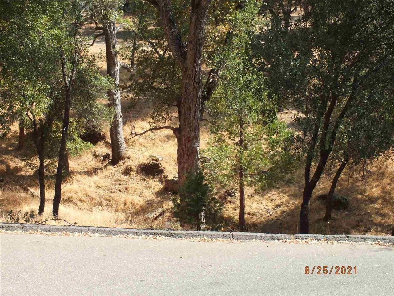 Groveland, CA 95321,20650 Crescent Way