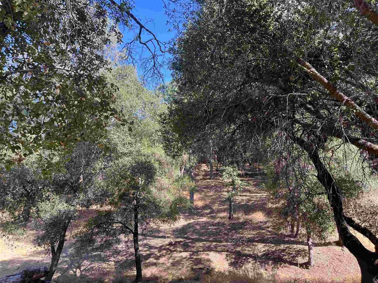 Groveland, CA 95321,7-68 Ferretti Rd
