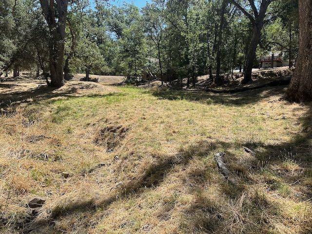 Groveland, CA 95321,20762 Big Foot Circle