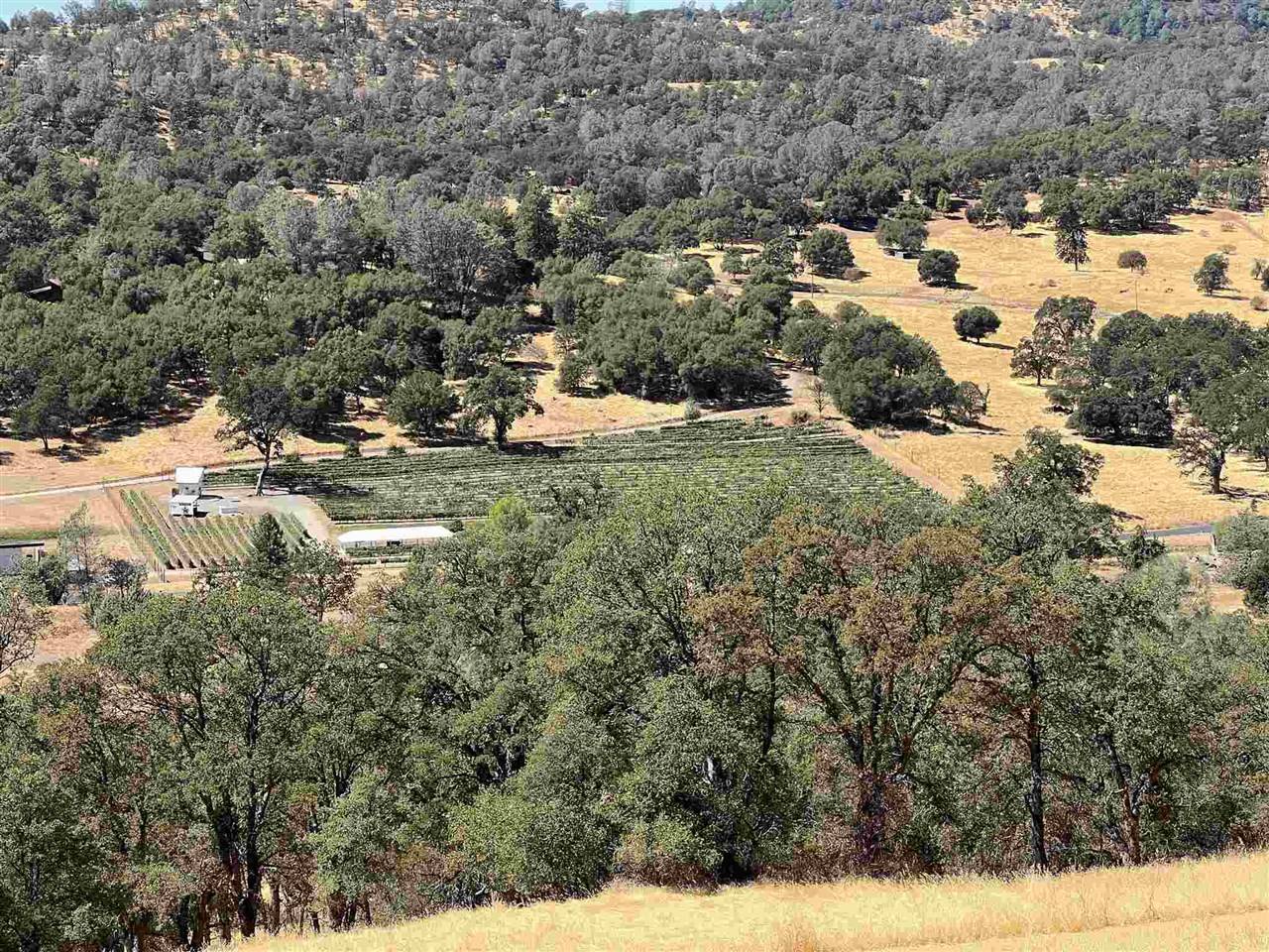 Angels Camp, CA 95222,1749 Pinto
