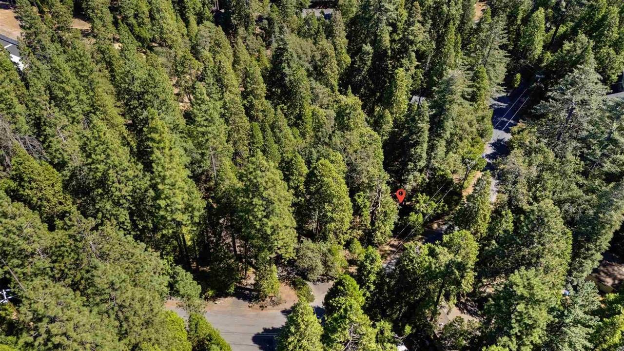 Twain Harte, CA 95383,19232 Superior