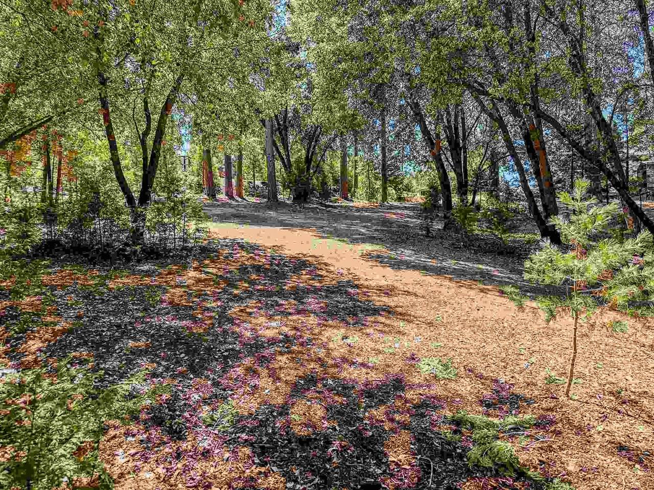 Groveland, CA 95321,13-358 Pine Mountain